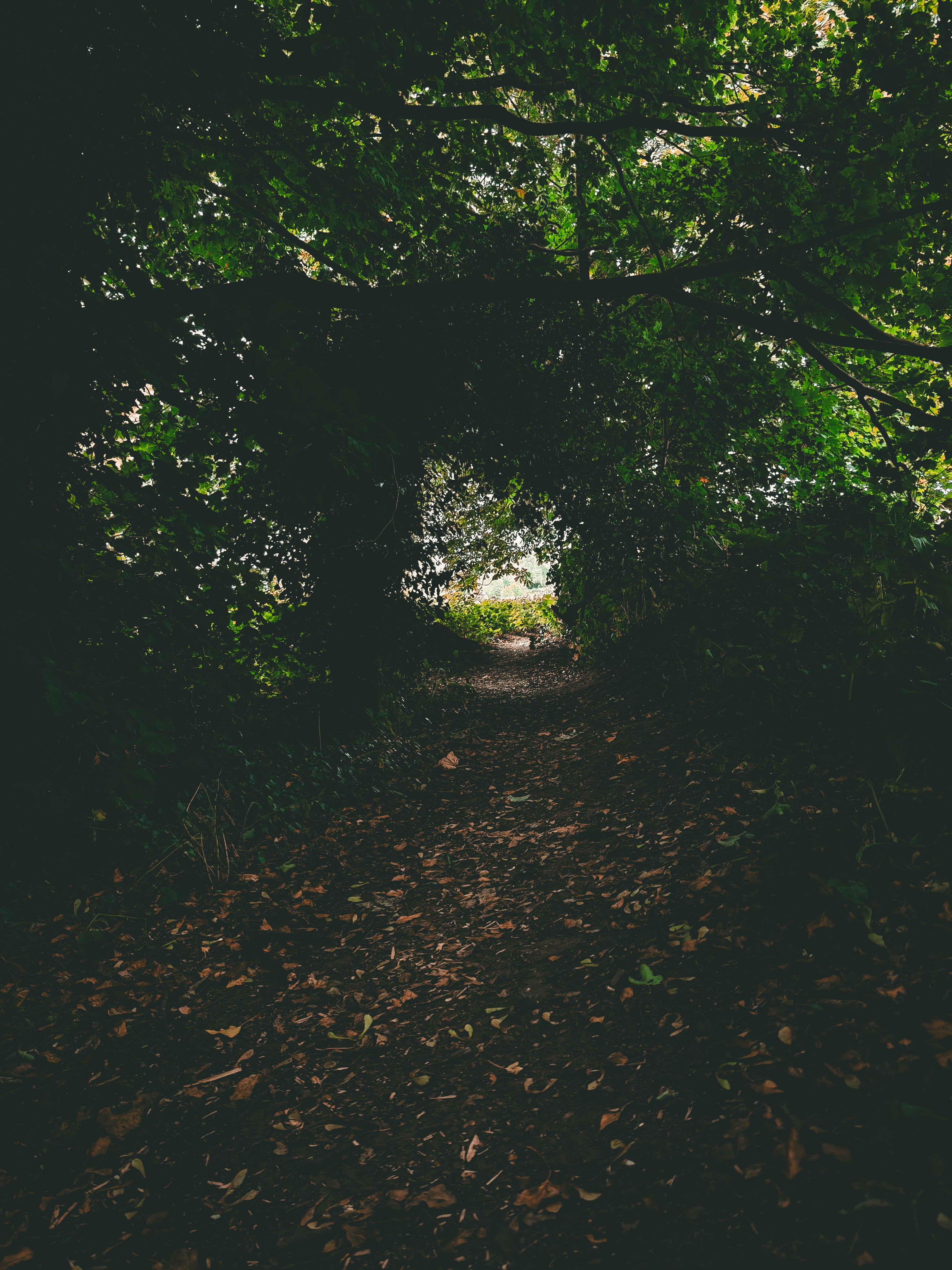 Photo by bizzyspace_images