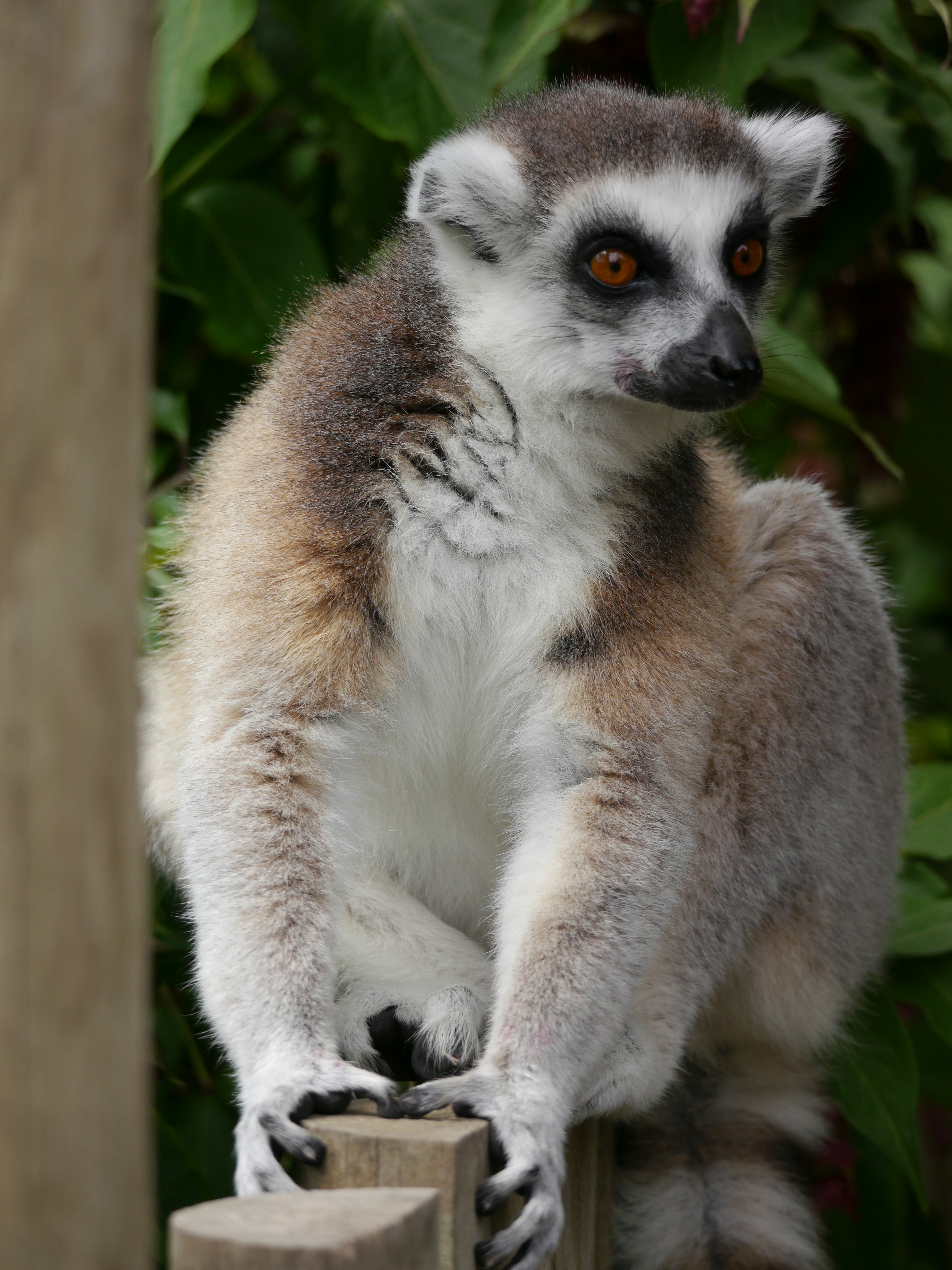 Photo by iqsphotography