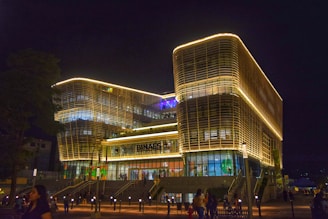 A group of people standing outside of a building at night