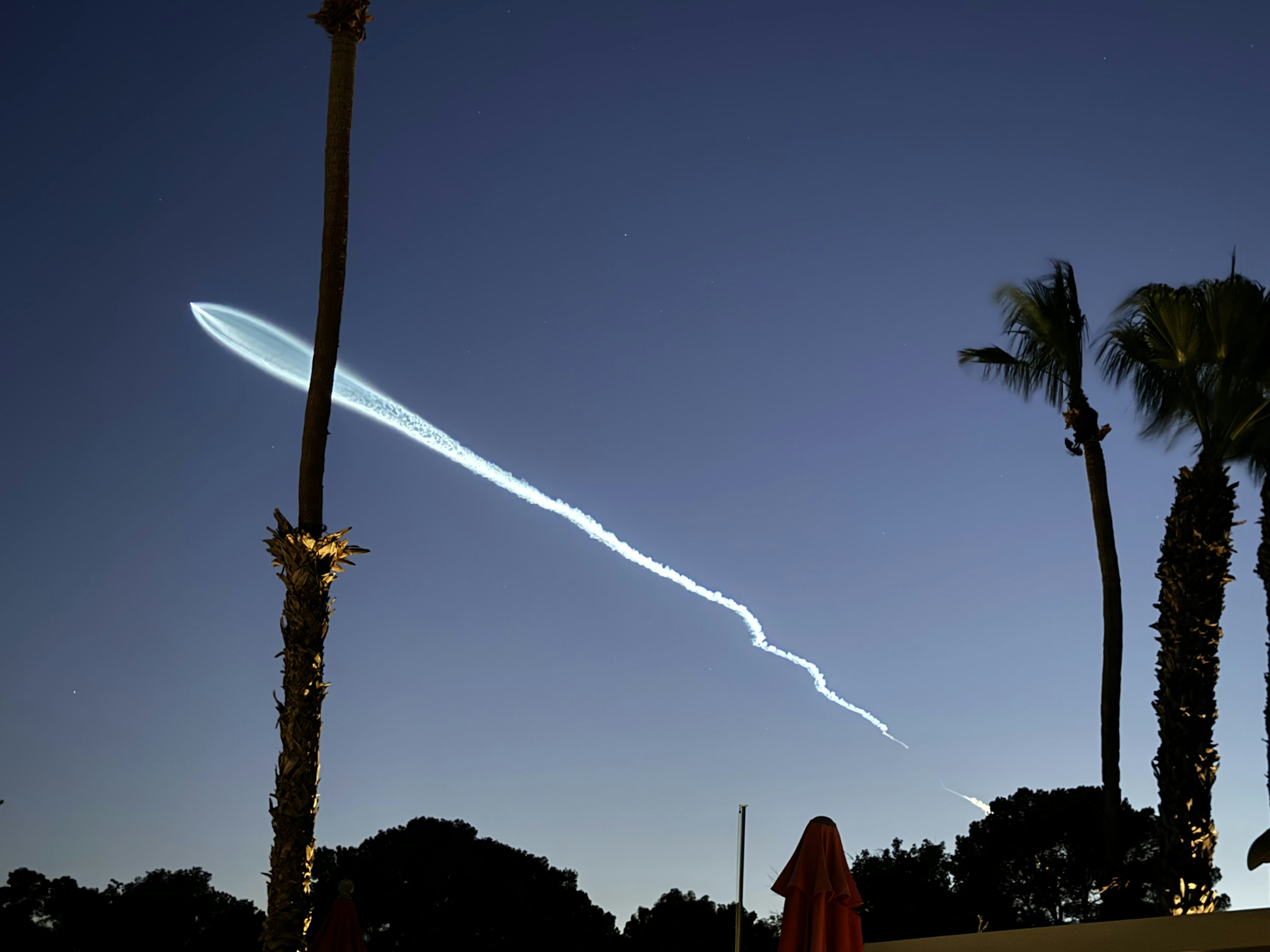 A plane is flying in the sky over palm trees