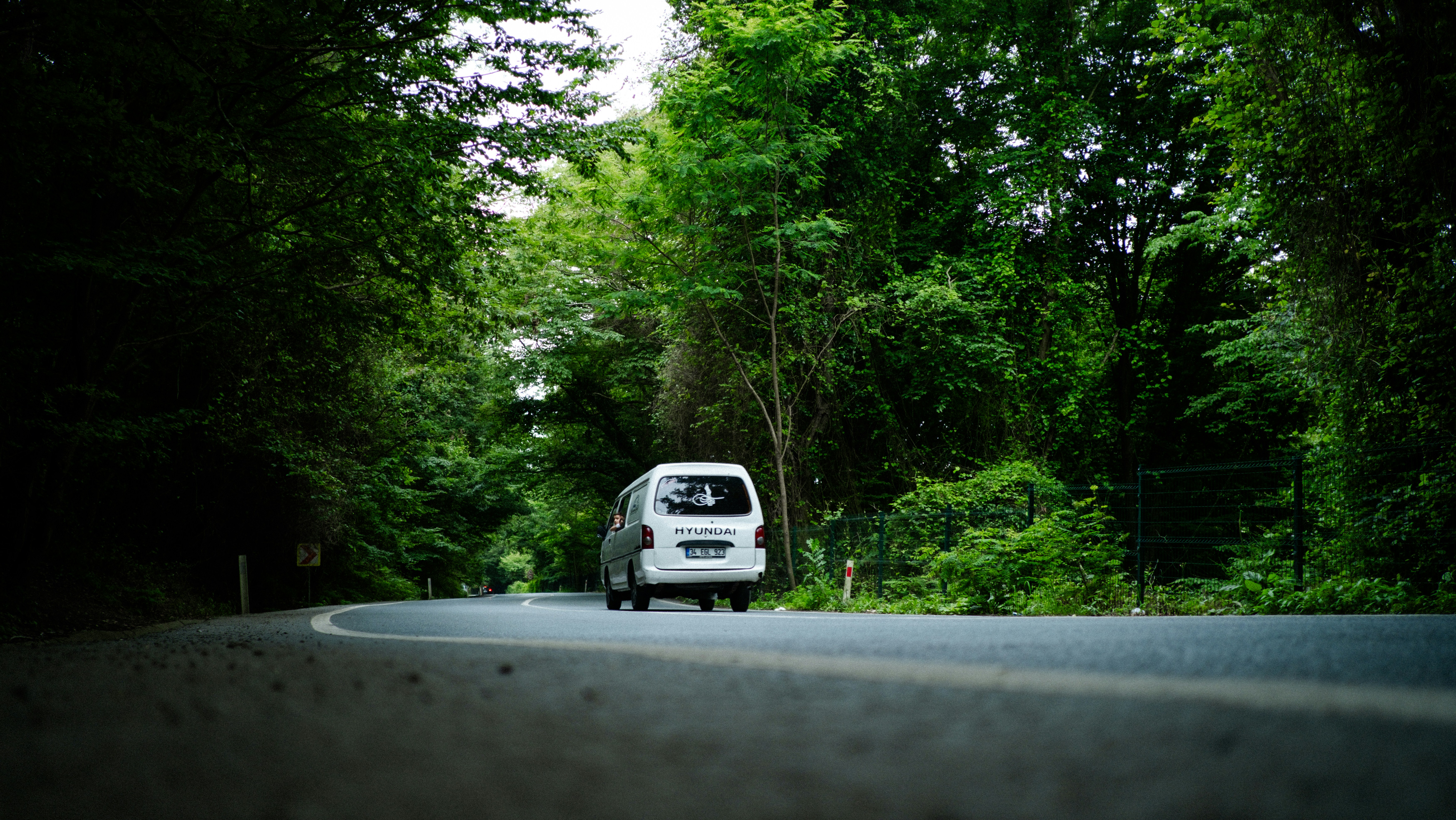 Photo by furkanelveren