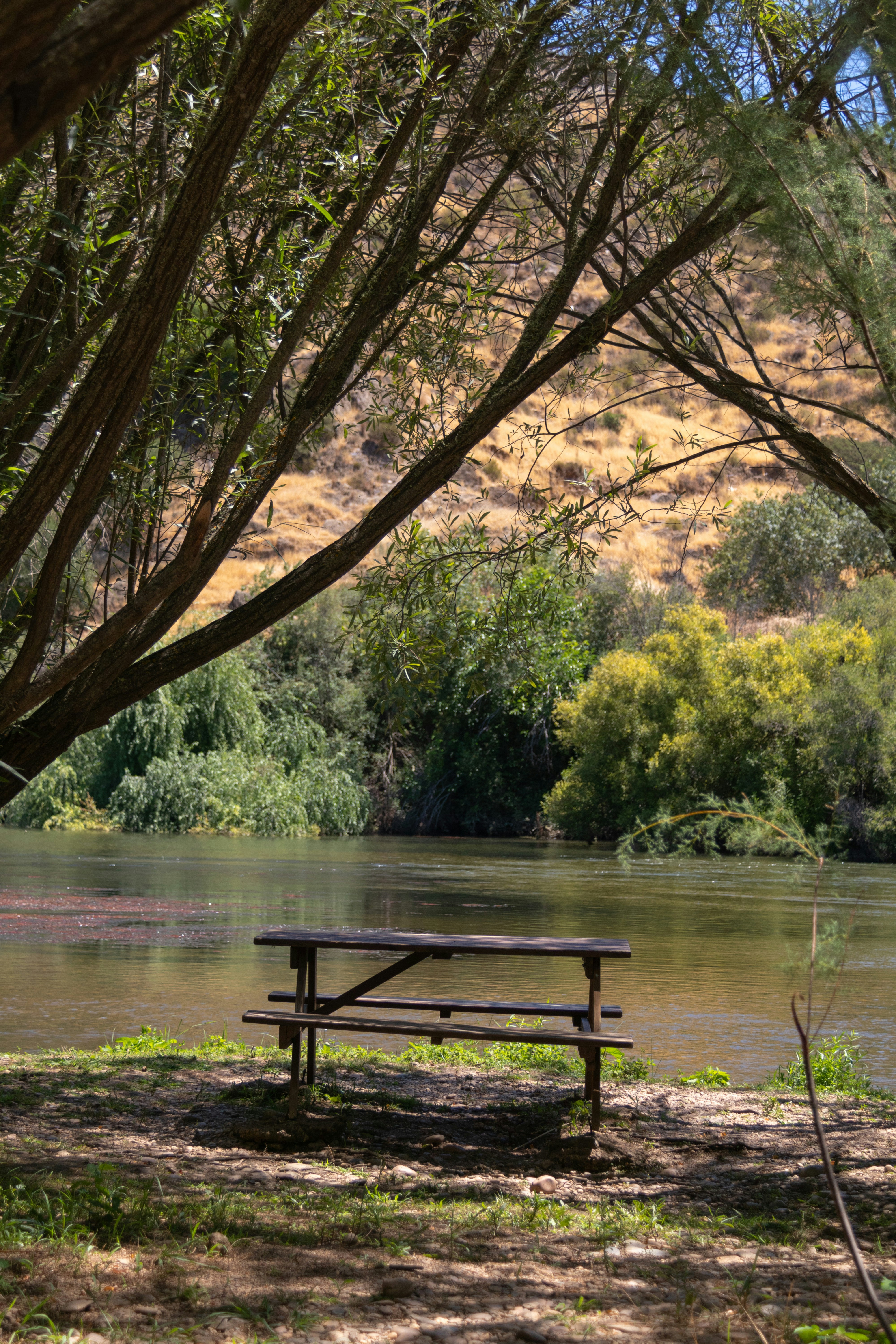 Photo by filipenobre