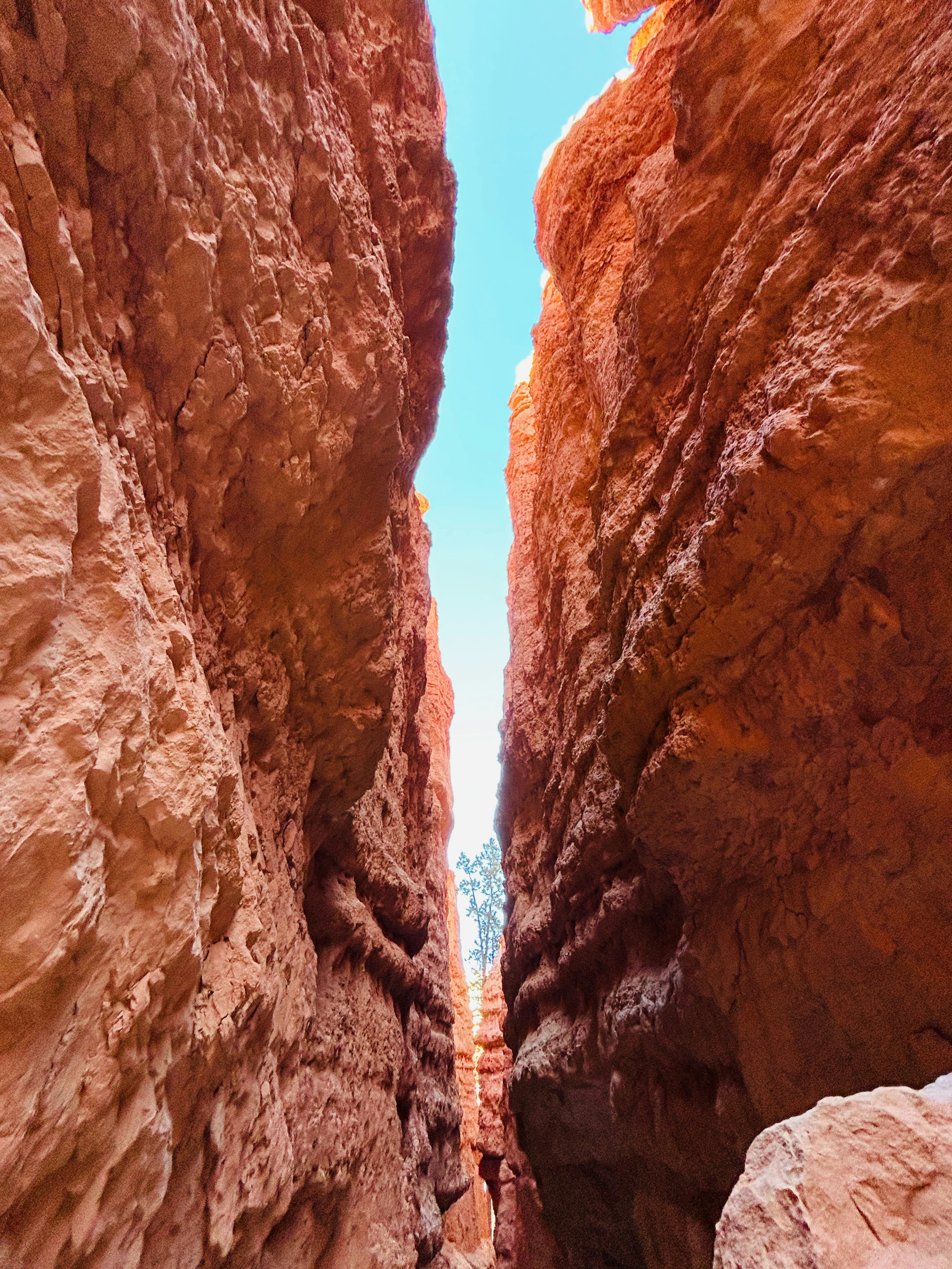 Photo by gibsoncrafton