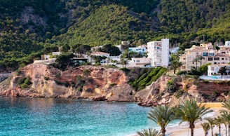 A beach with palm trees and houses on a hill