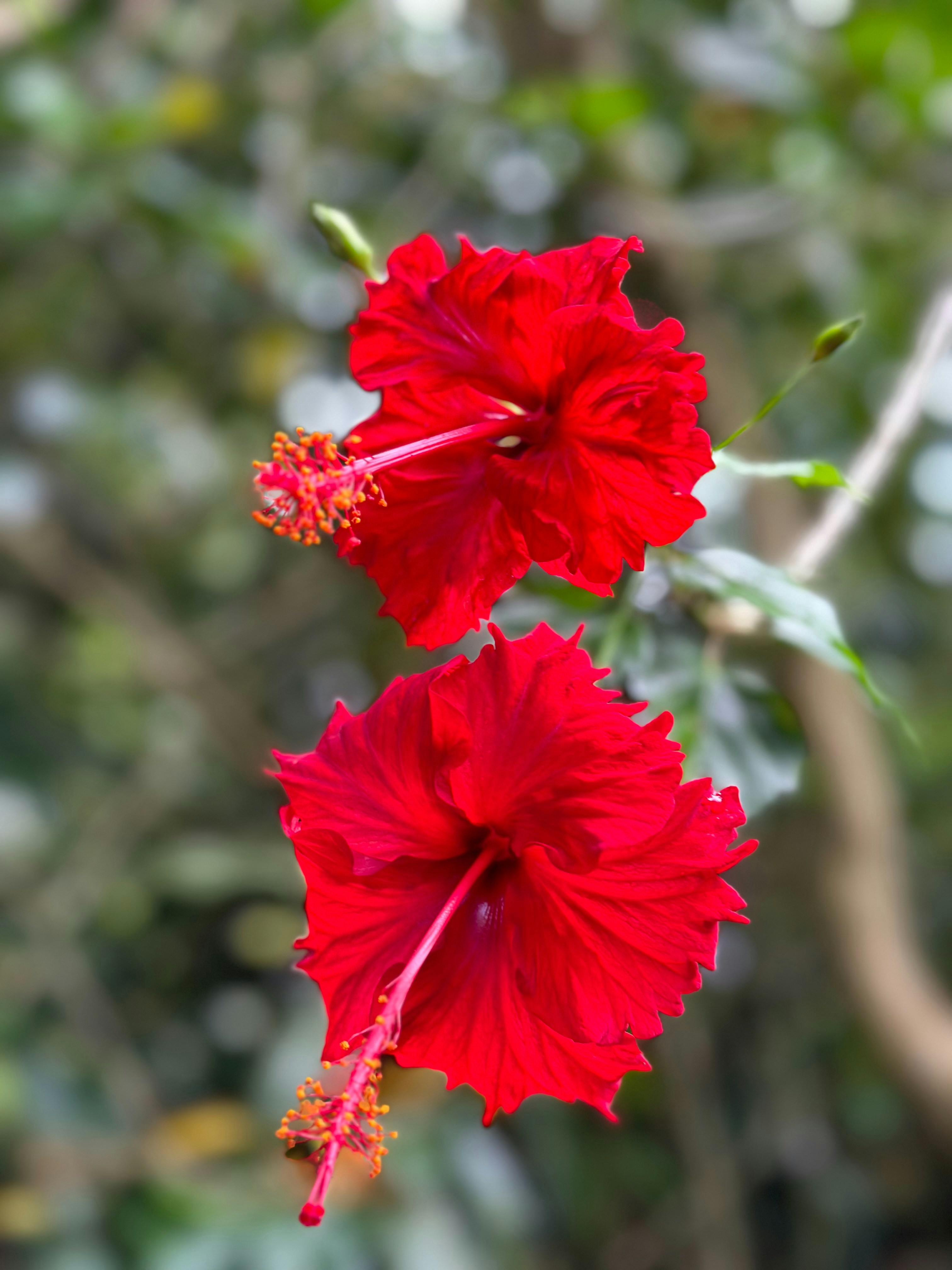 Photo by gibsoncrafton