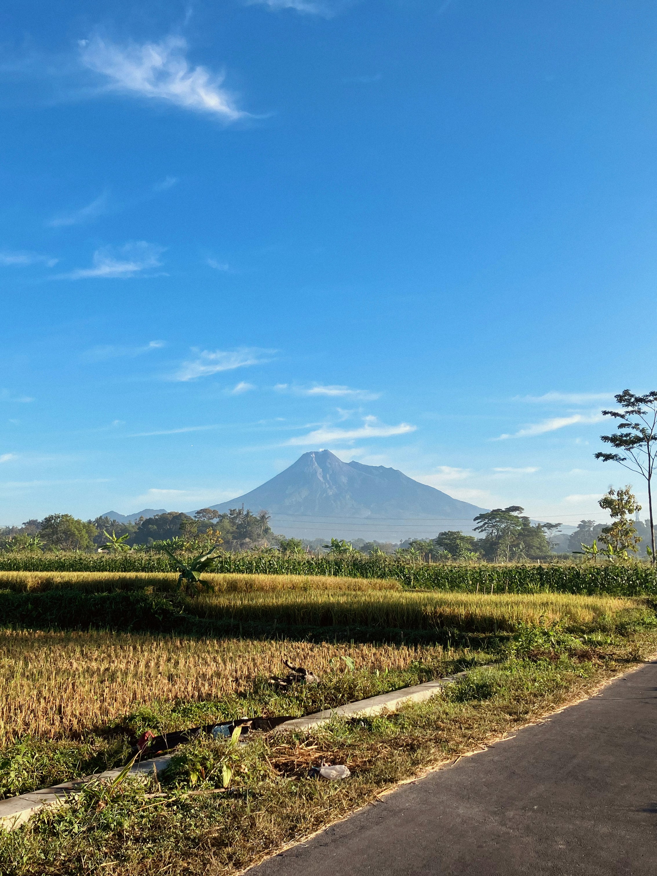 Traditional Arts and Cultural Experiences