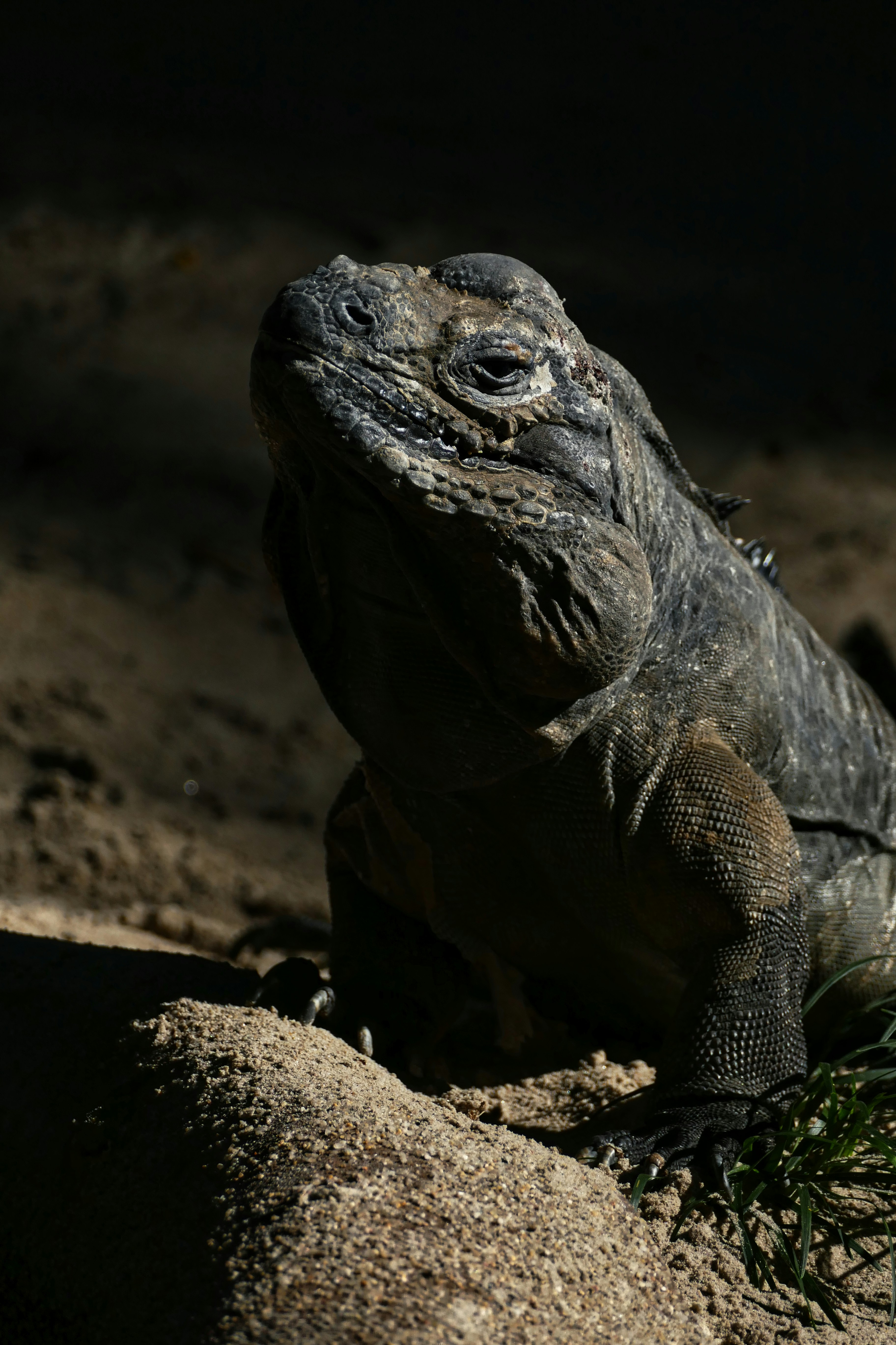 New Guidelines for Managing NMOSD: What You Need to Know