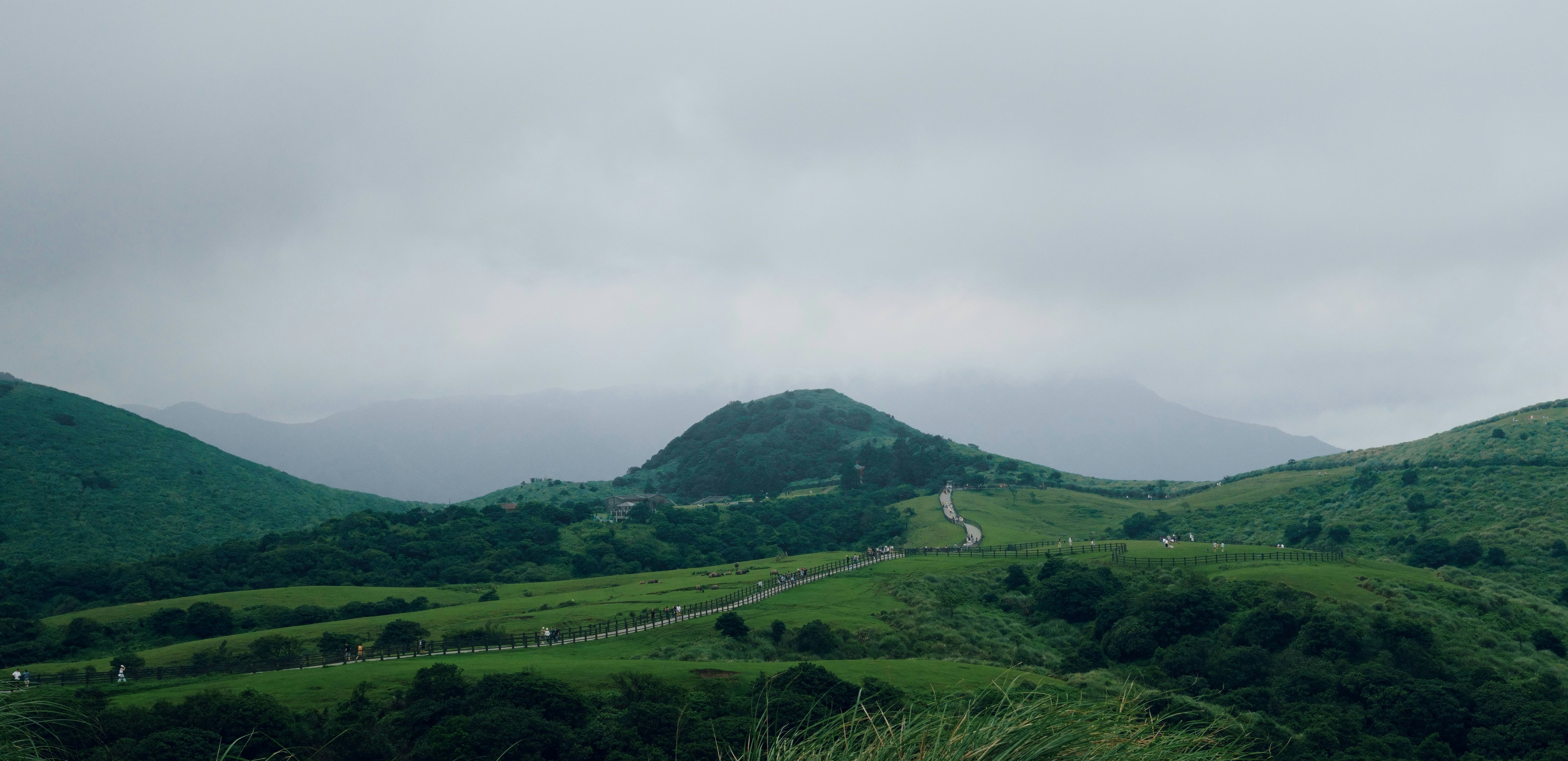 A lush green hillside covered in lots of trees