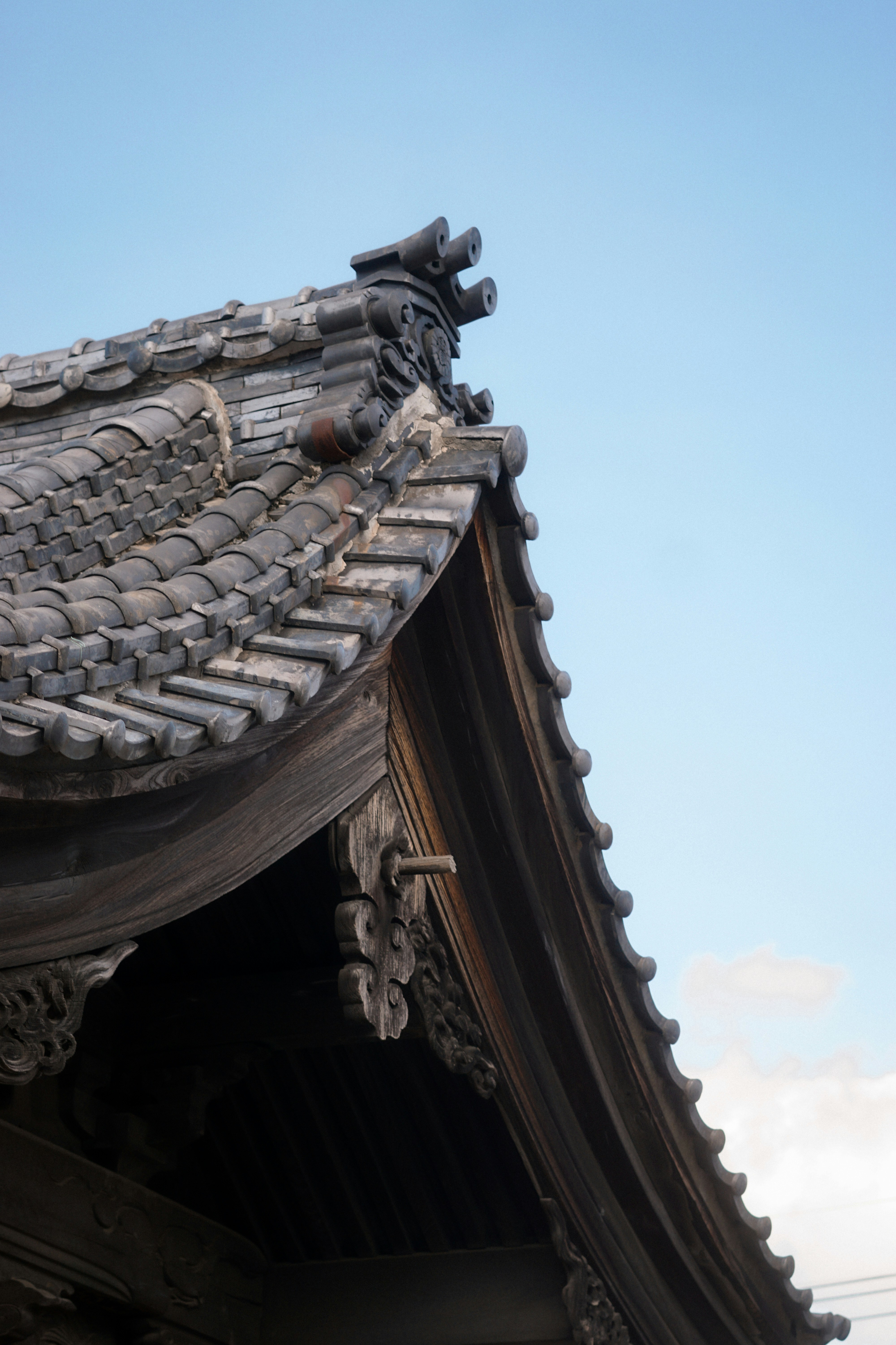 Photo by diadesigner