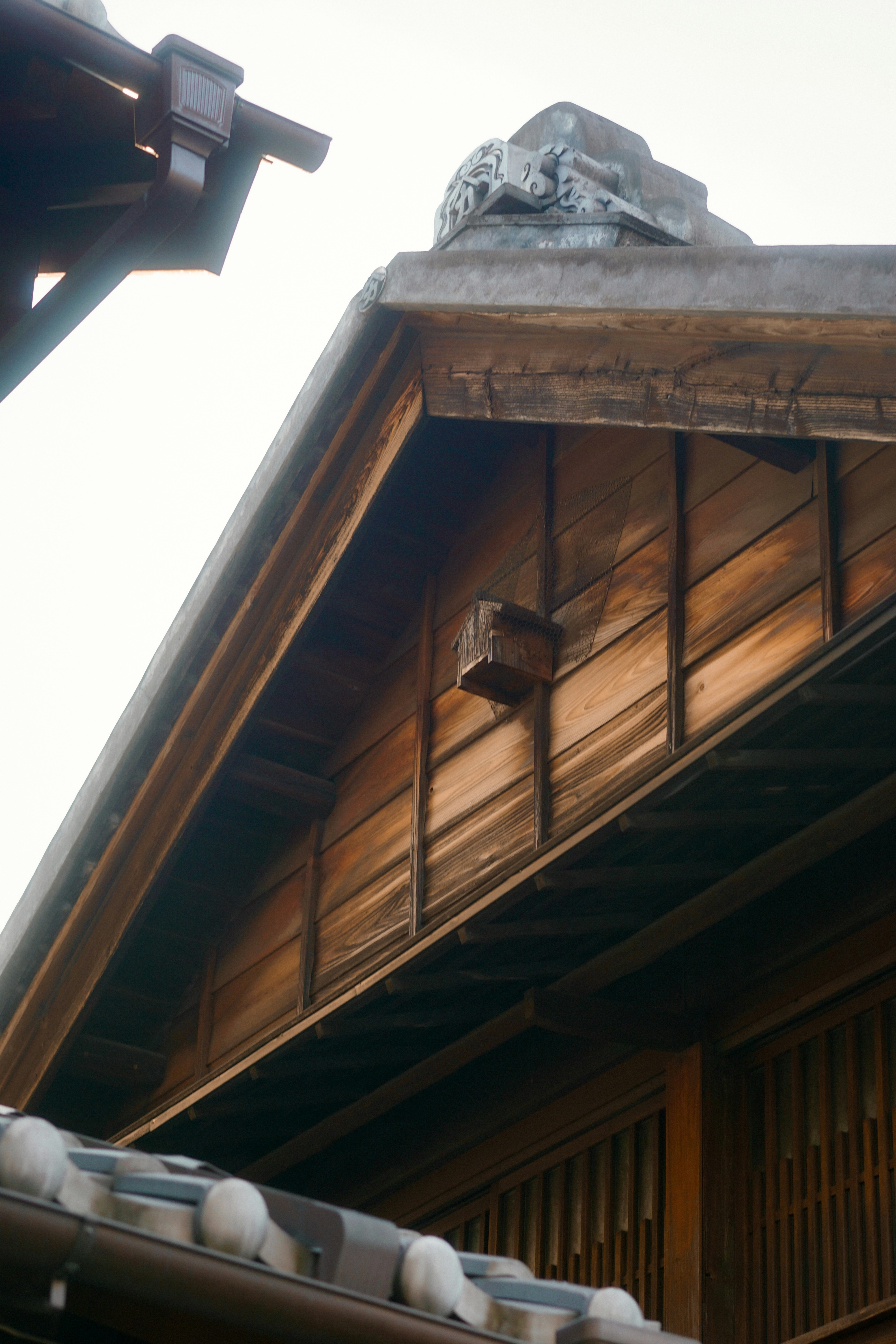 Photo by diadesigner