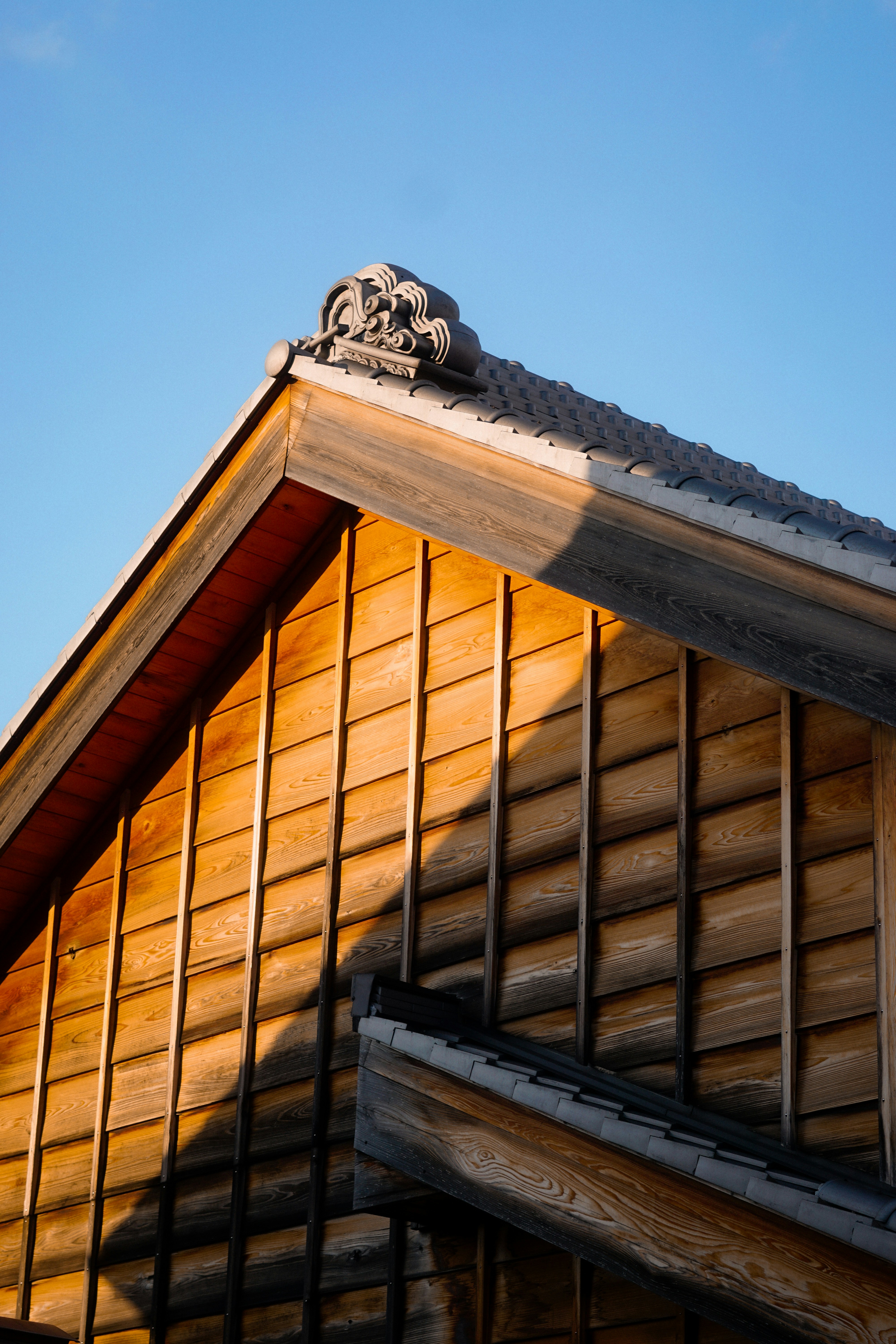 Photo by diadesigner