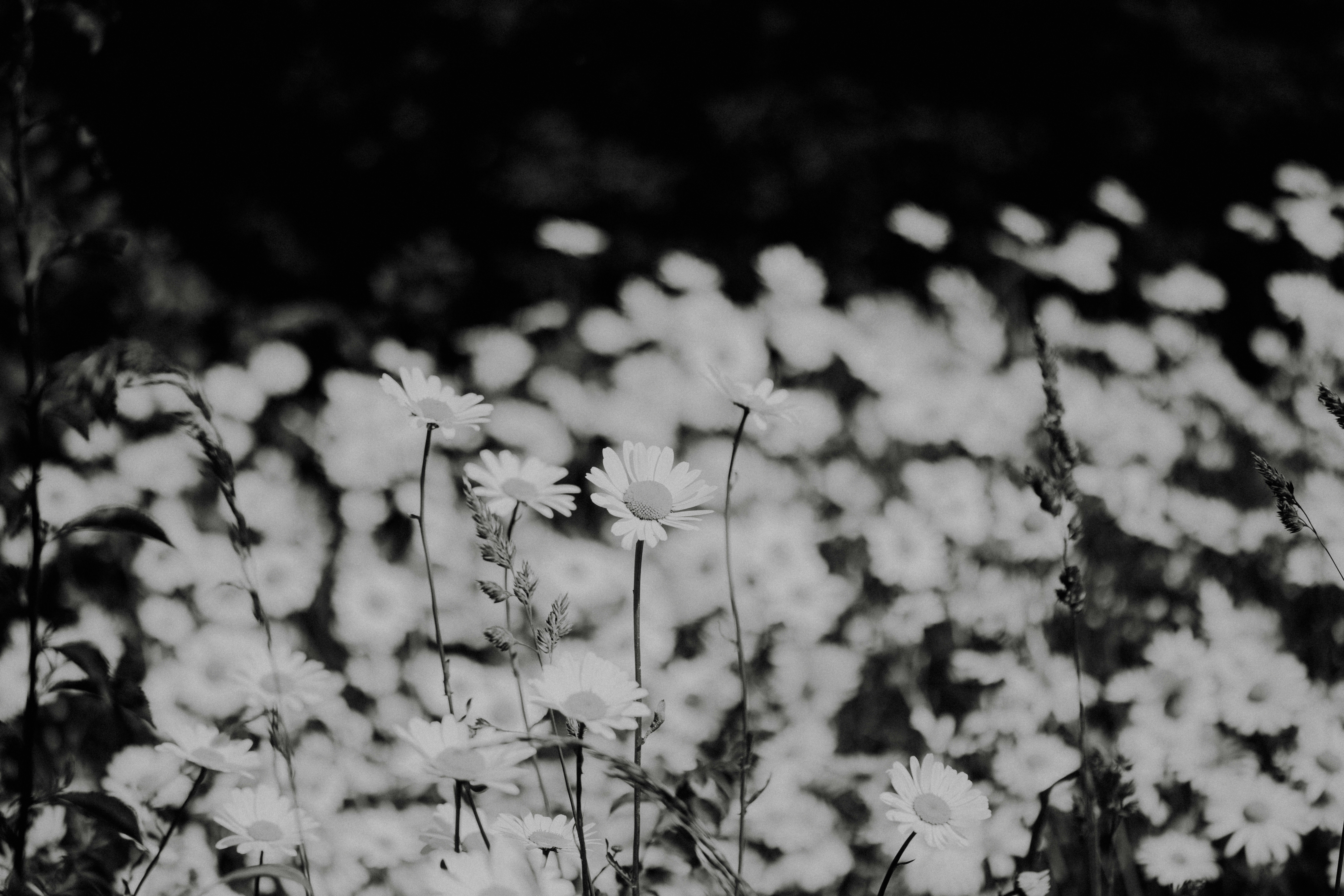 Photo by anniespratt