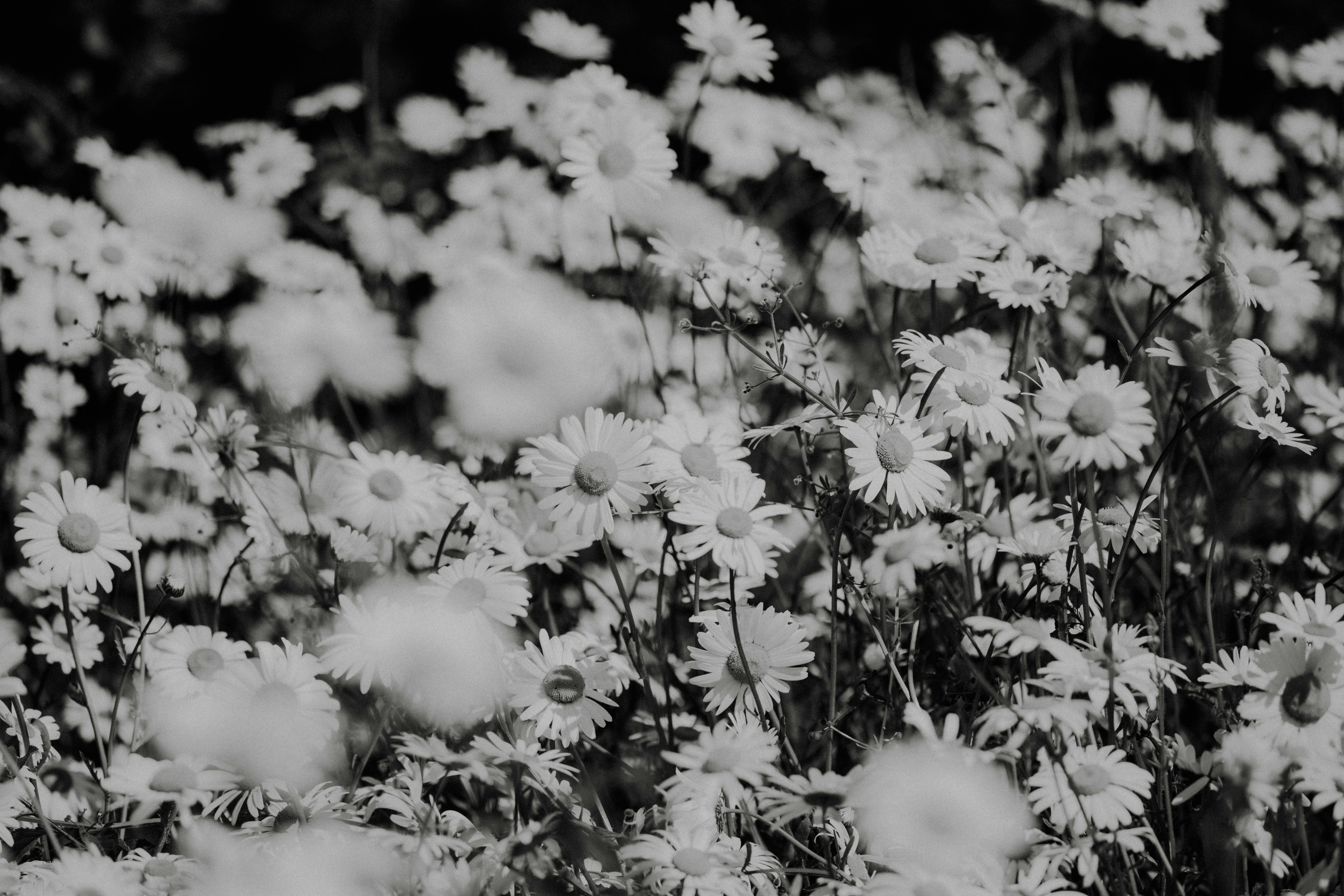 Photo by anniespratt