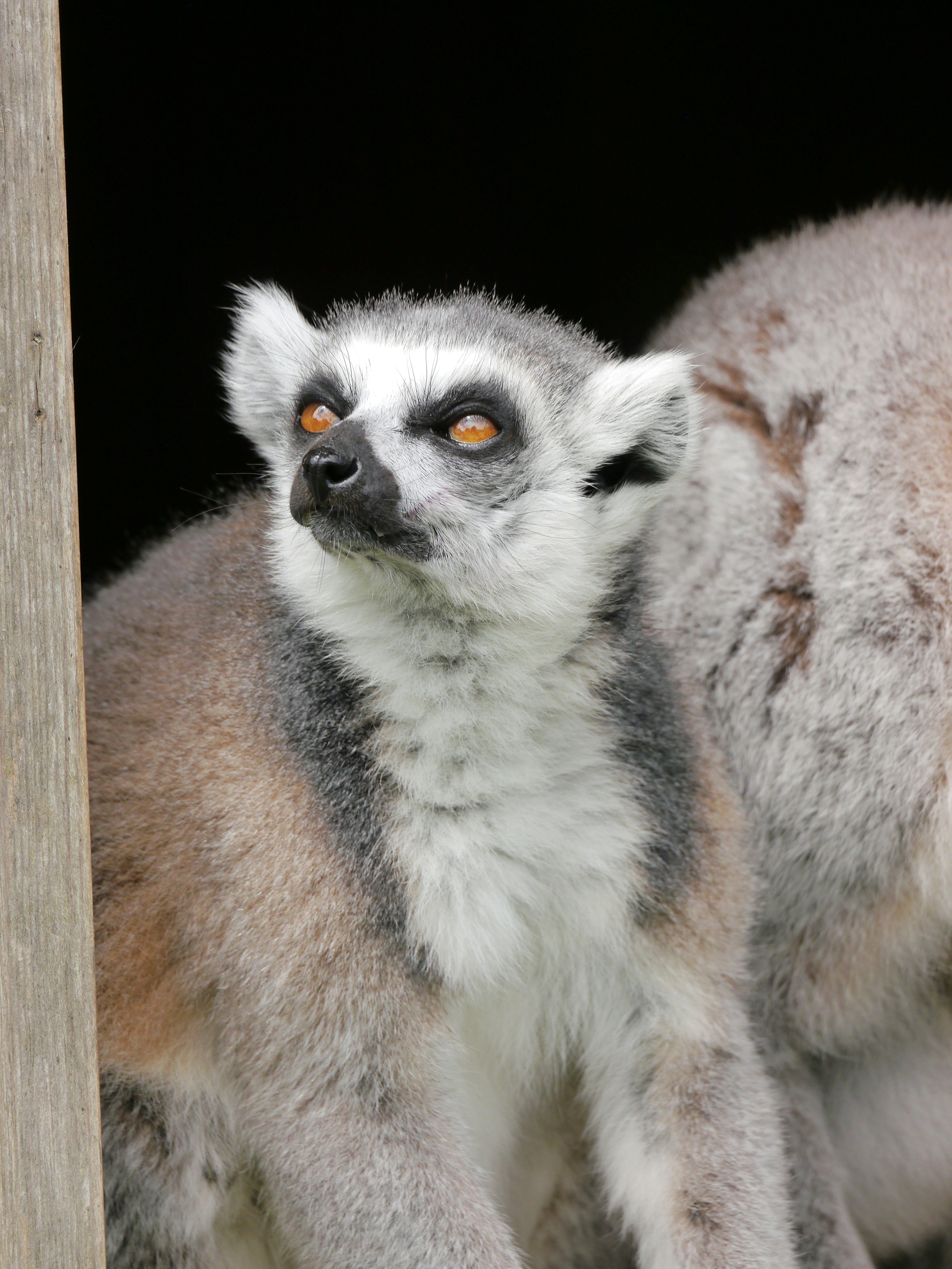 Photo by iqsphotography