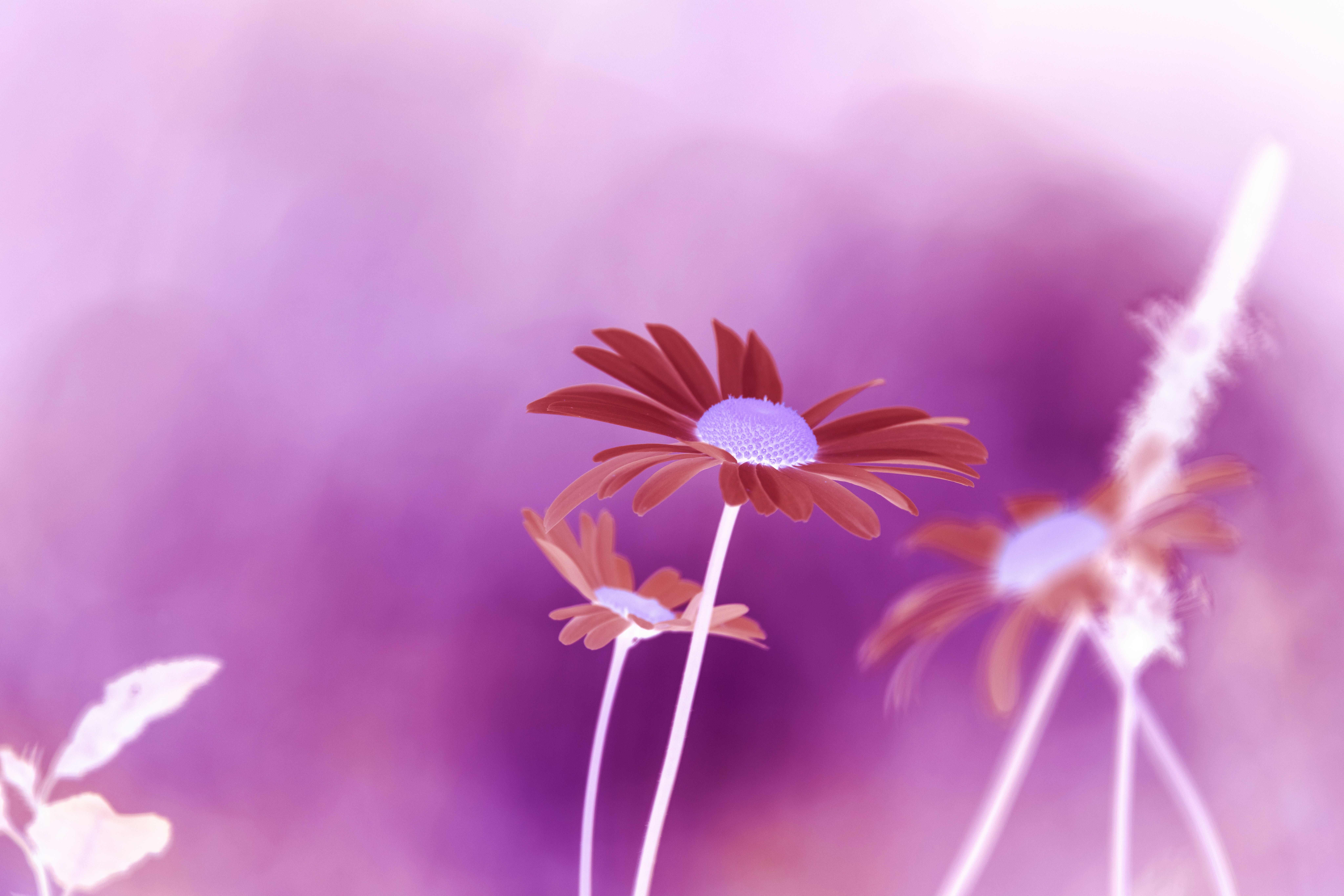 Photo by anniespratt