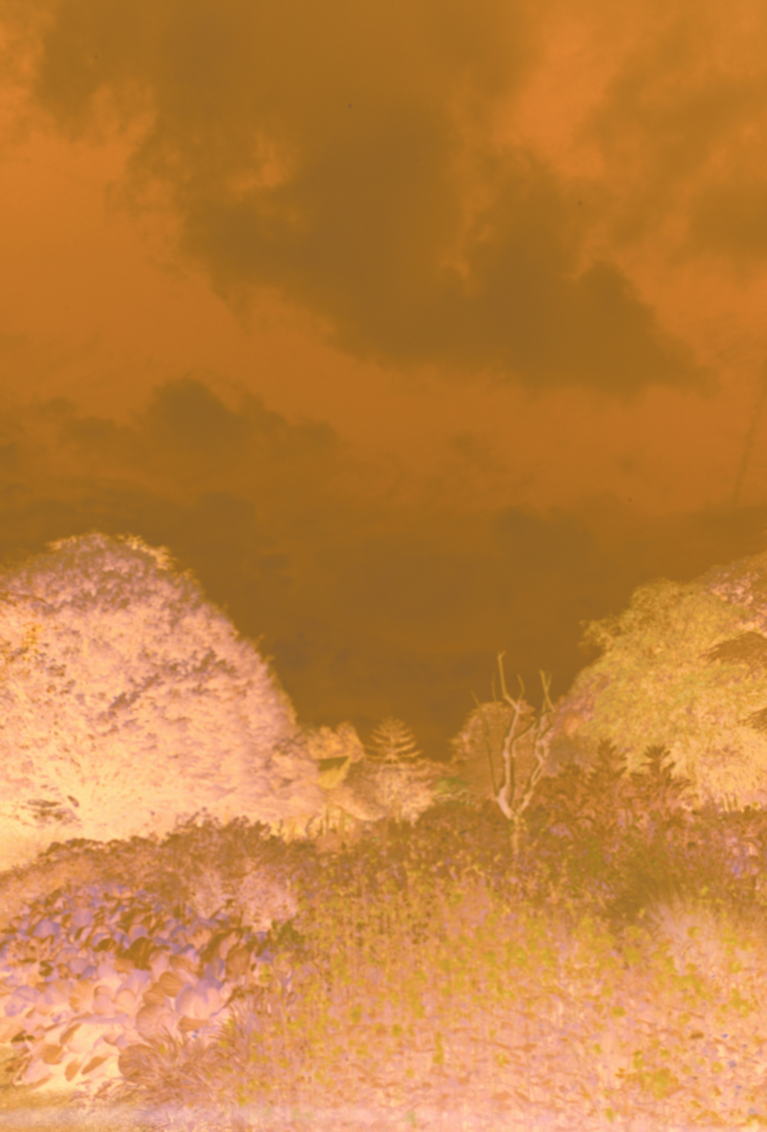 Photo by anniespratt