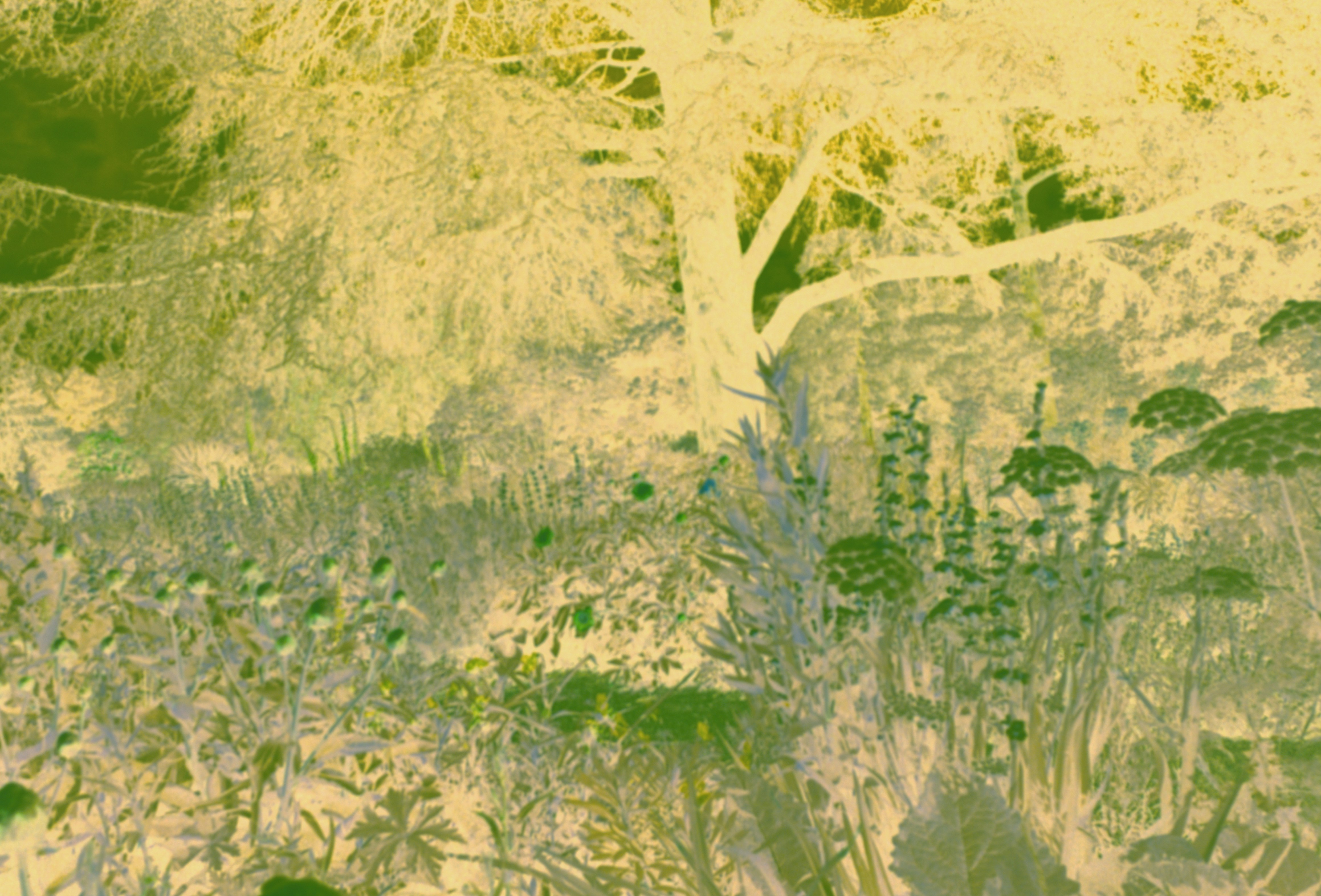 Photo by anniespratt