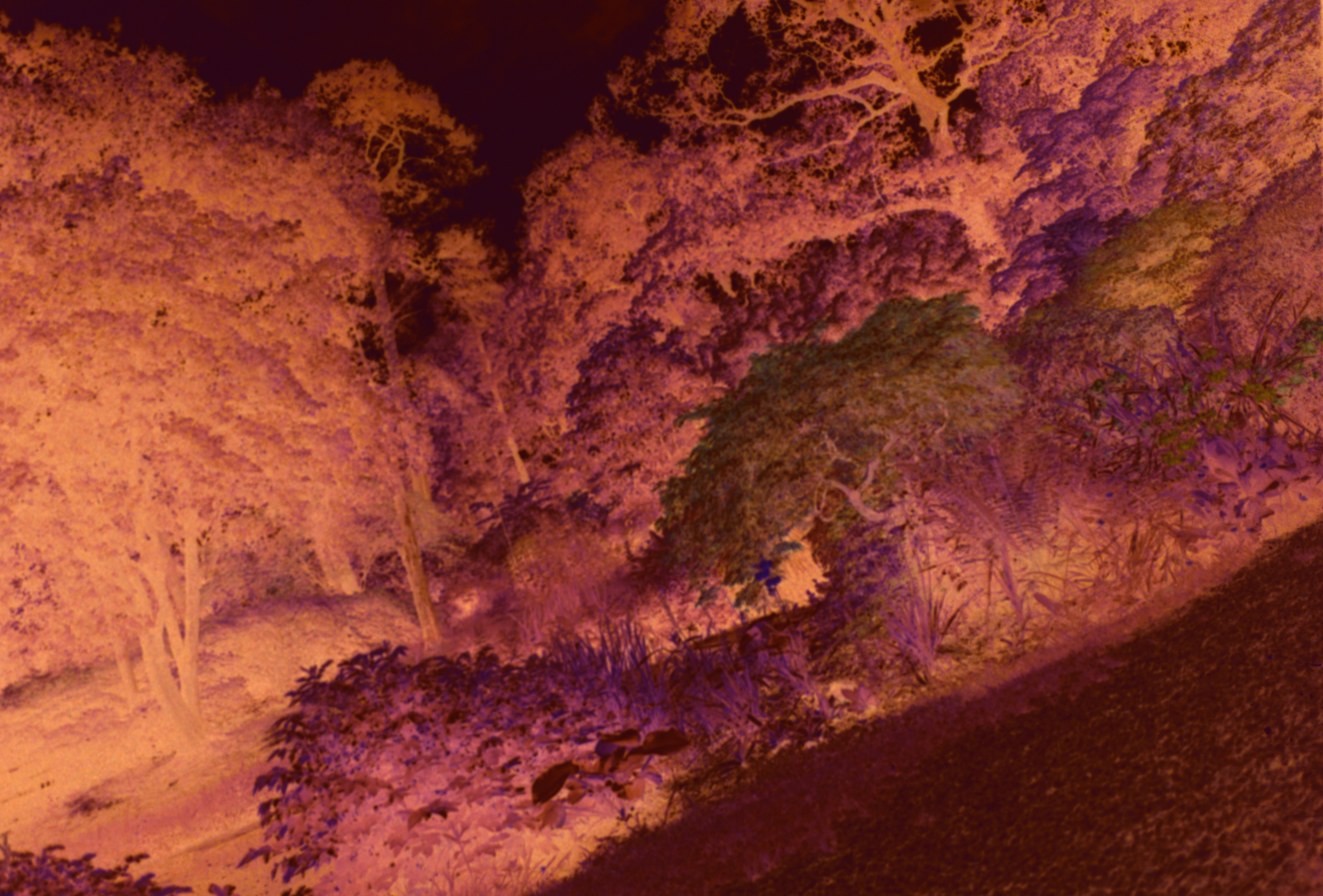 Photo by anniespratt