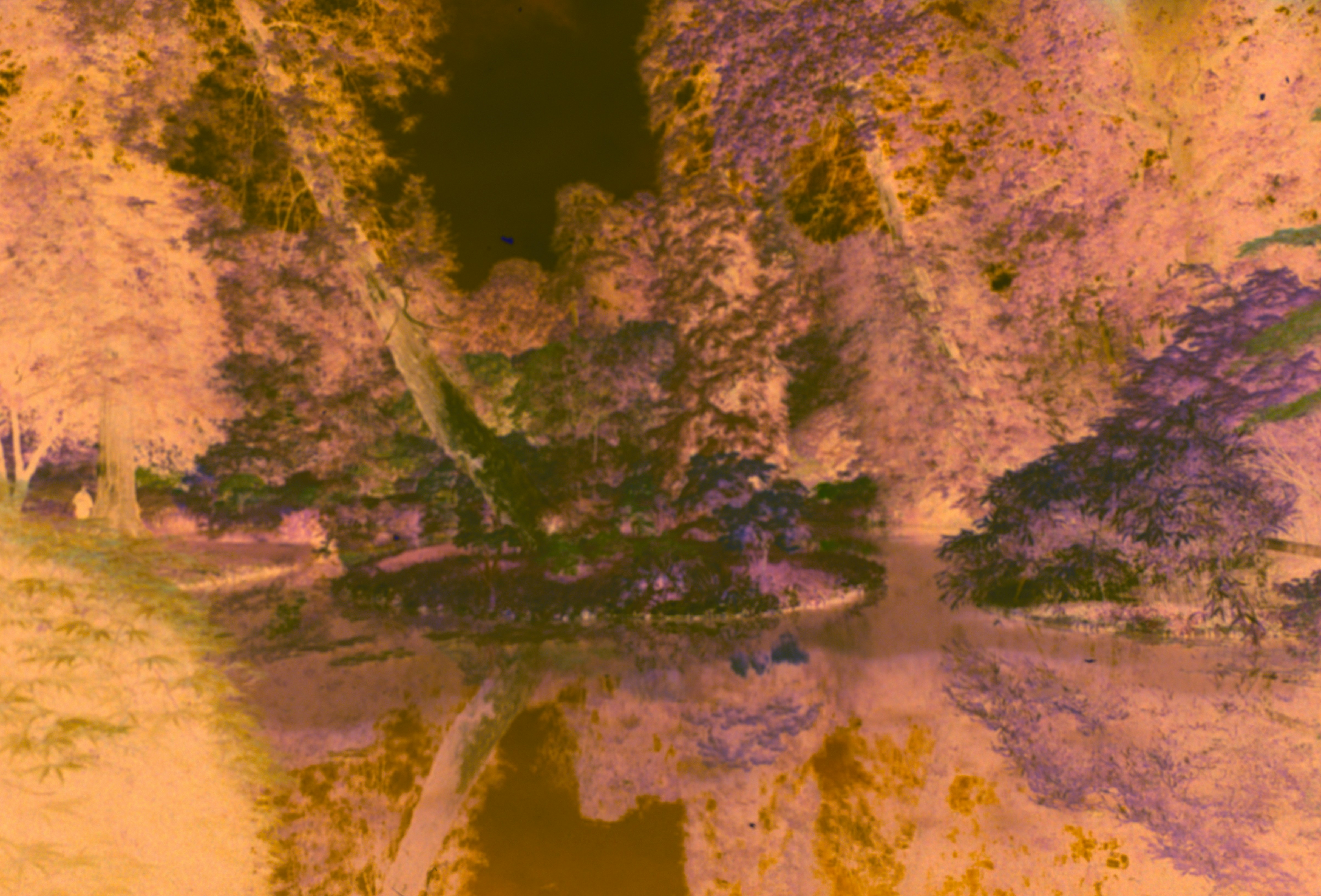 Photo by anniespratt