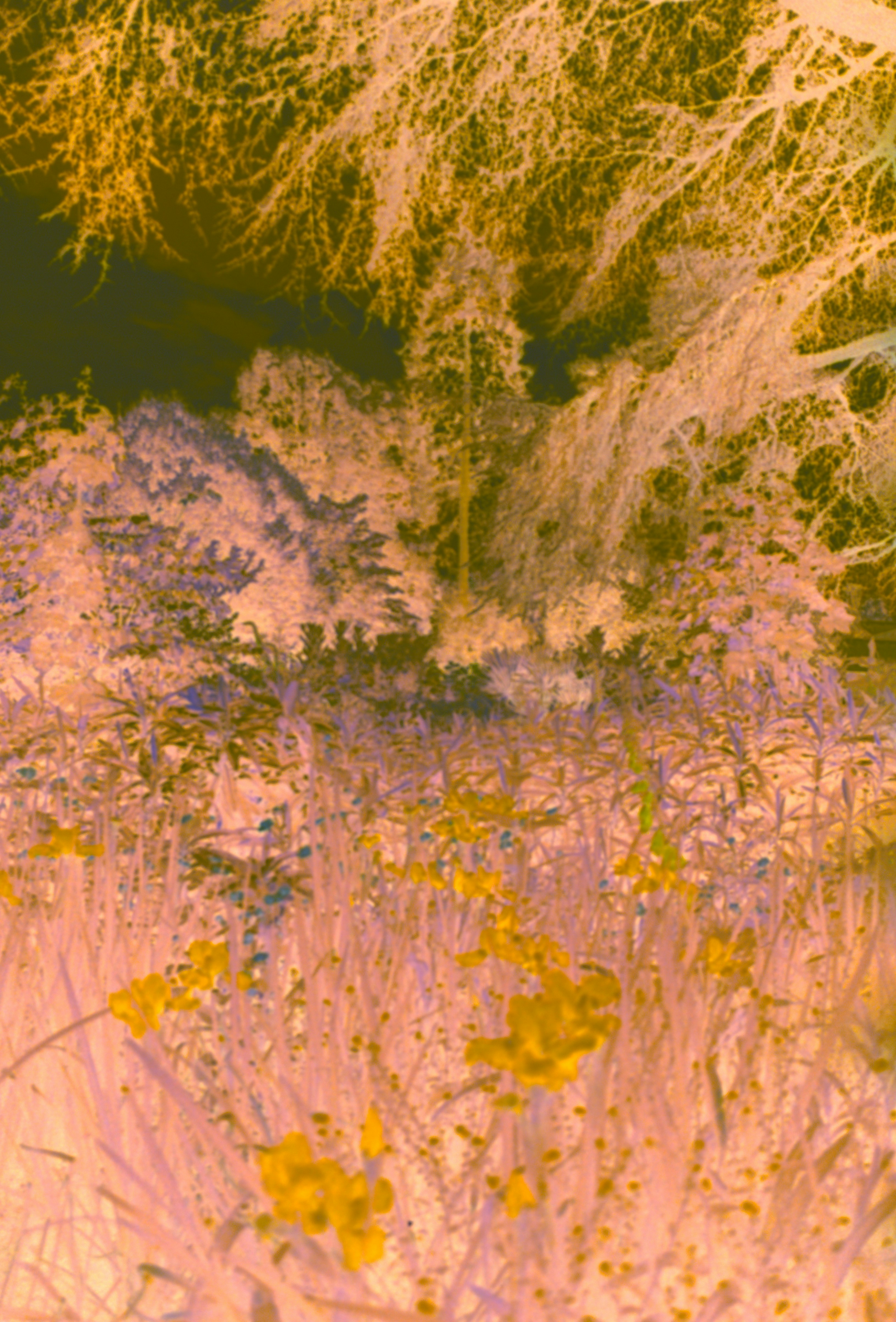 Photo by anniespratt