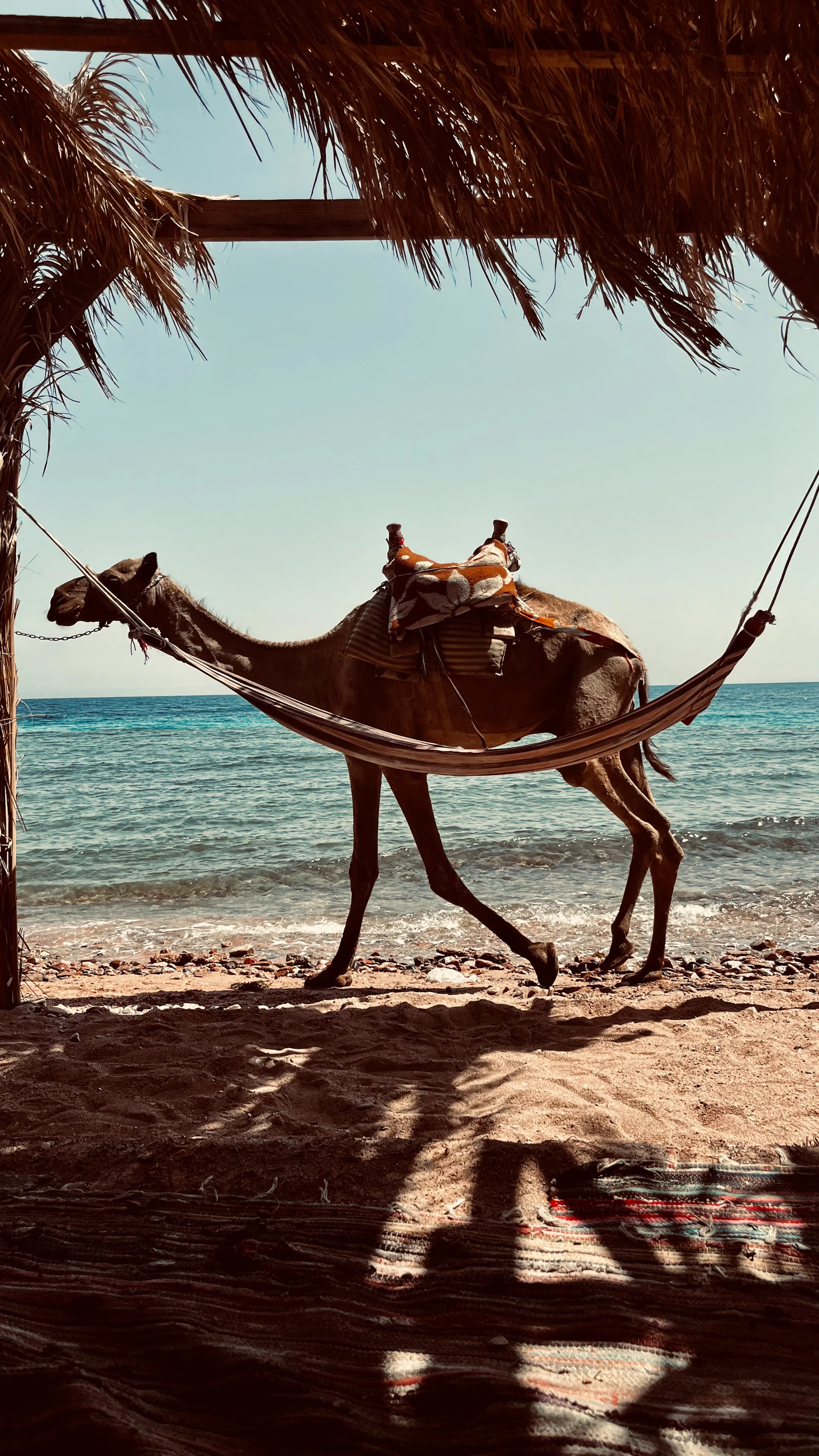 Le Caire & Dahab