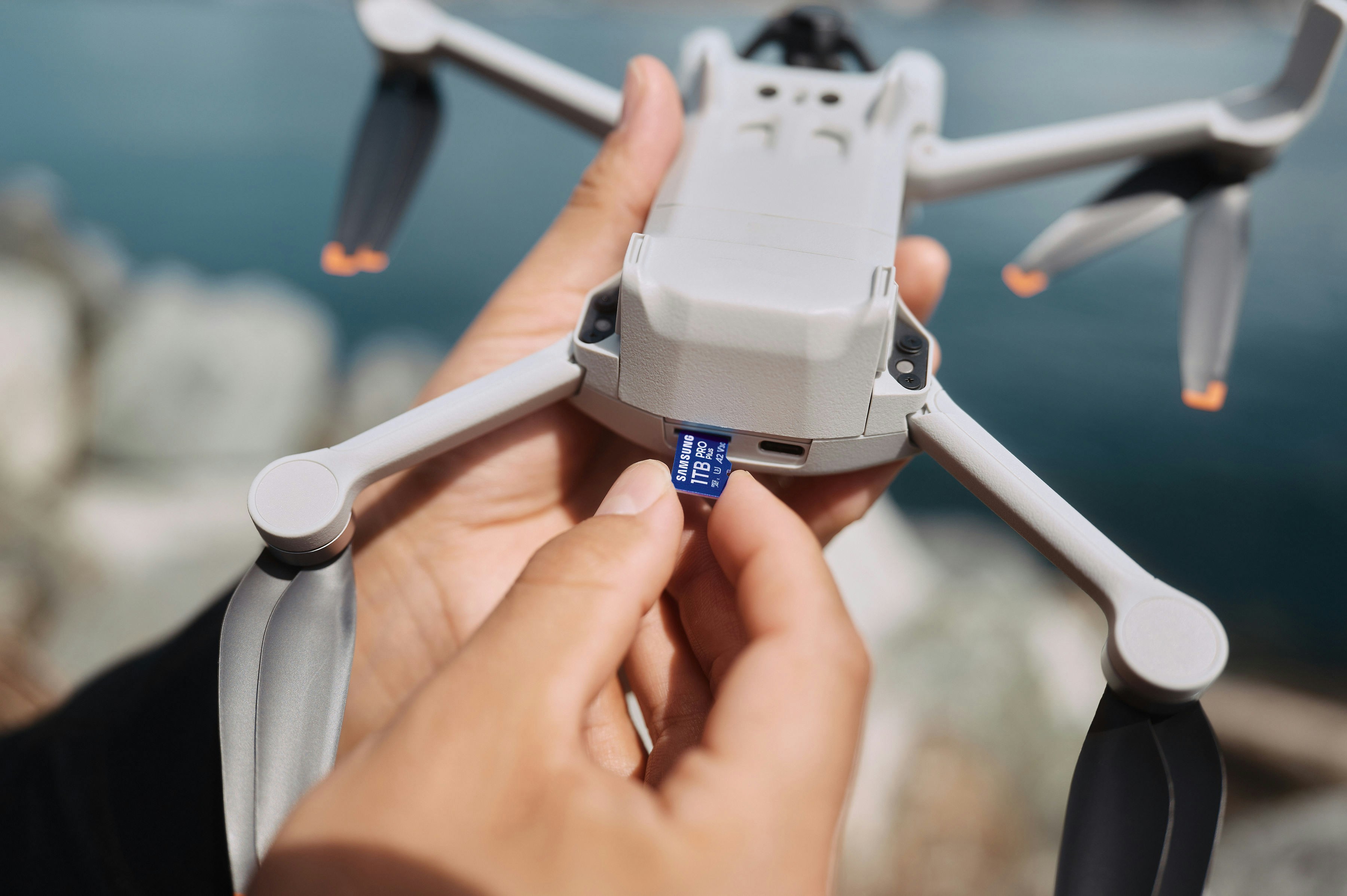 Photo by samsungmemory