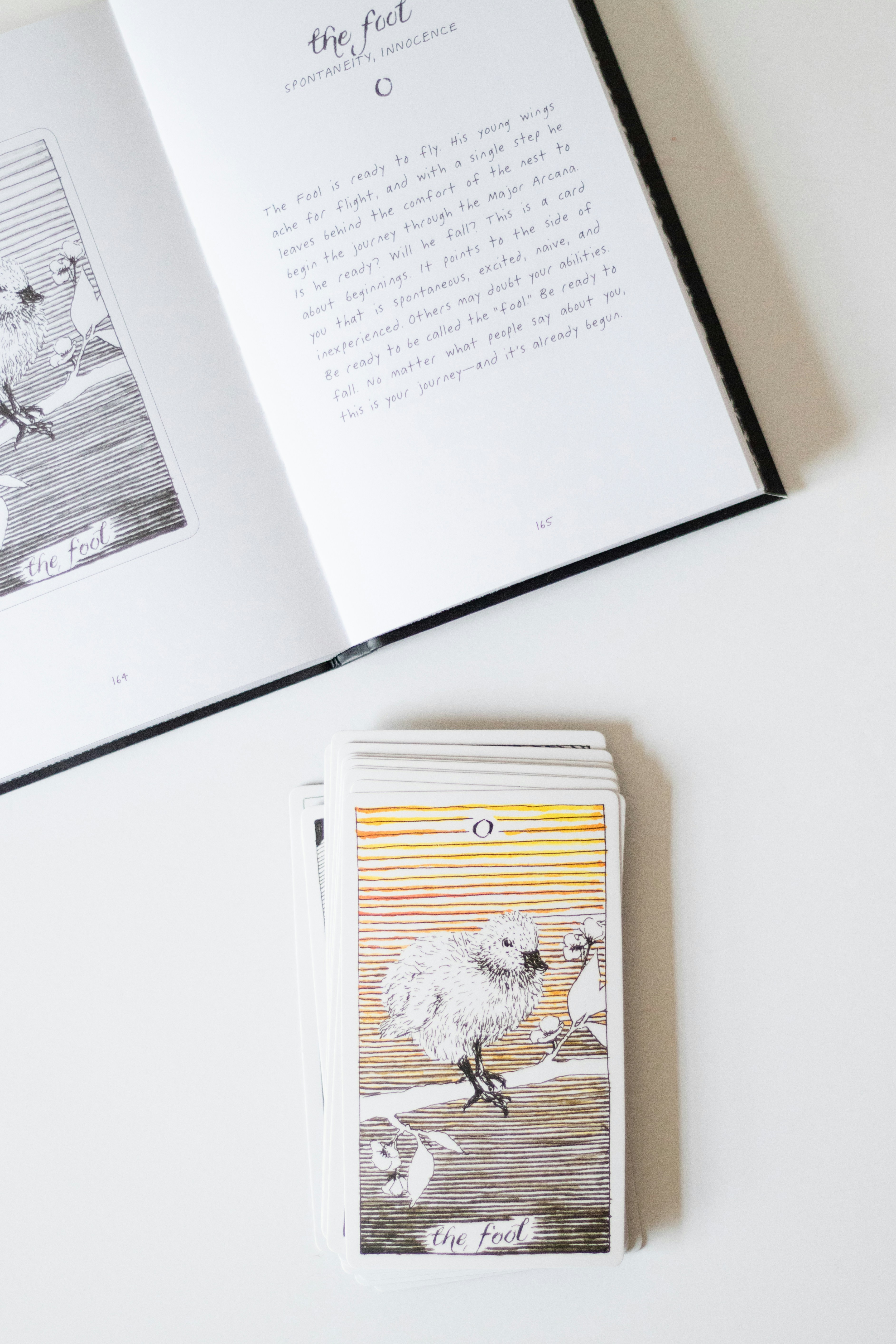 An open book with a picture of a bird on it