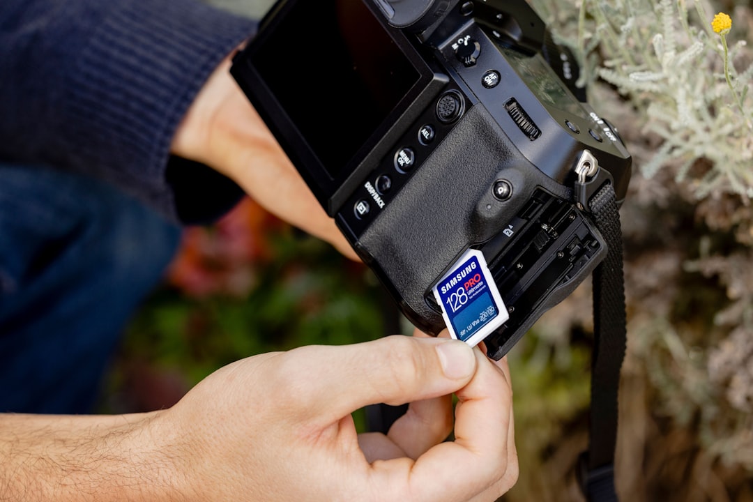 A person taking a picture of a tree with a camera,