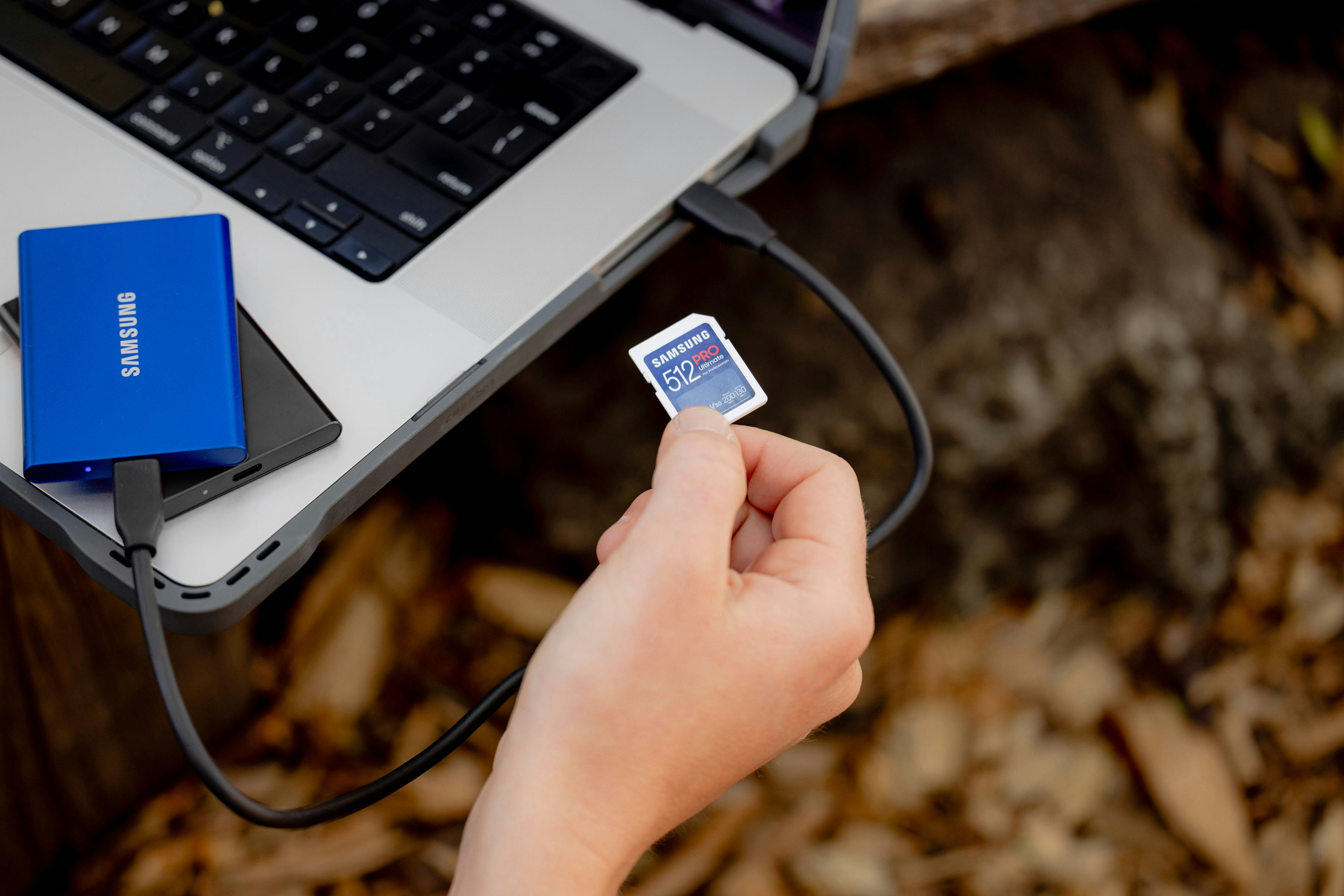 Photo by samsungmemory