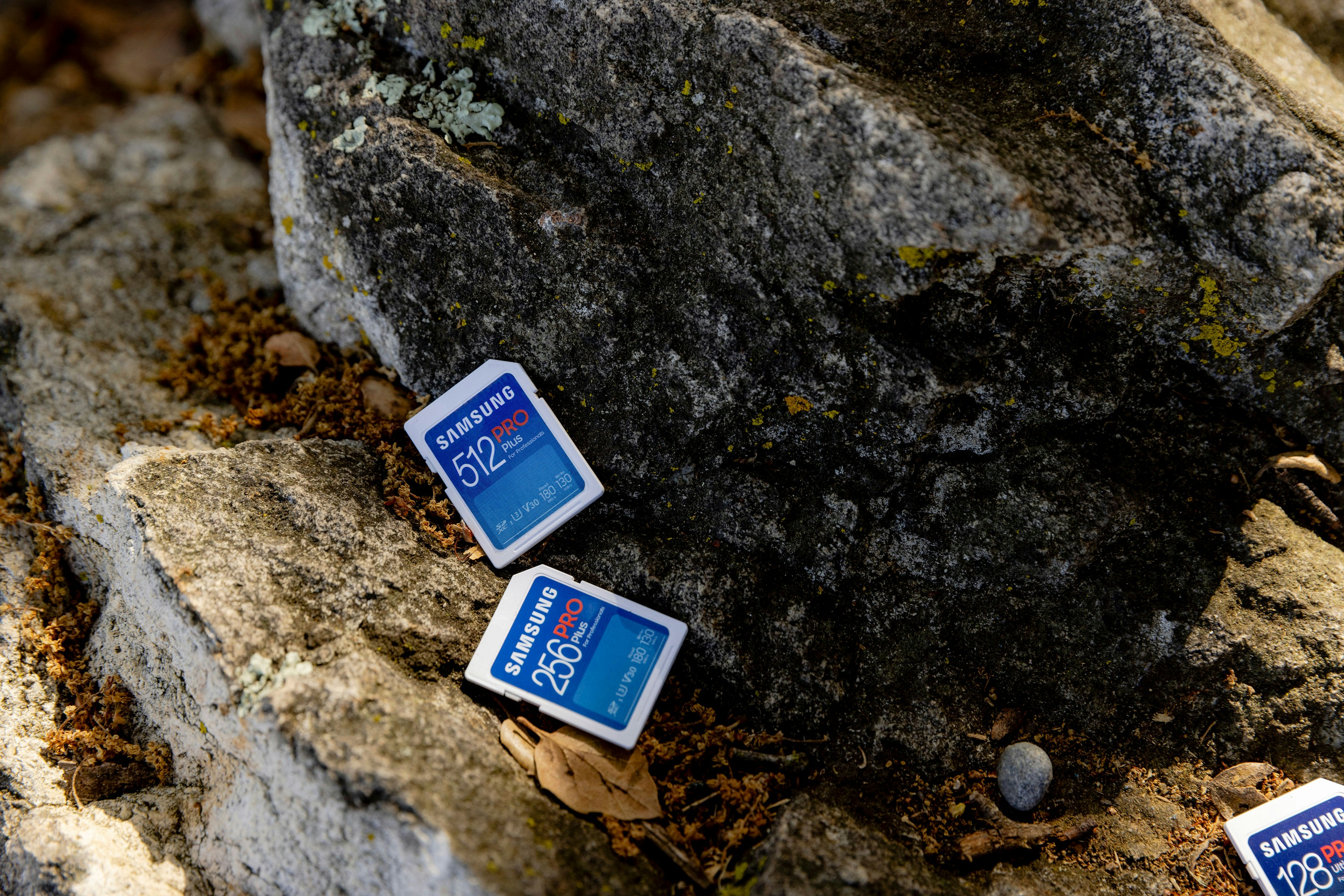 Photo by samsungmemory