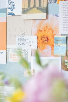 Creative studio reference — Fiona Murray-deGraaff on Unsplash