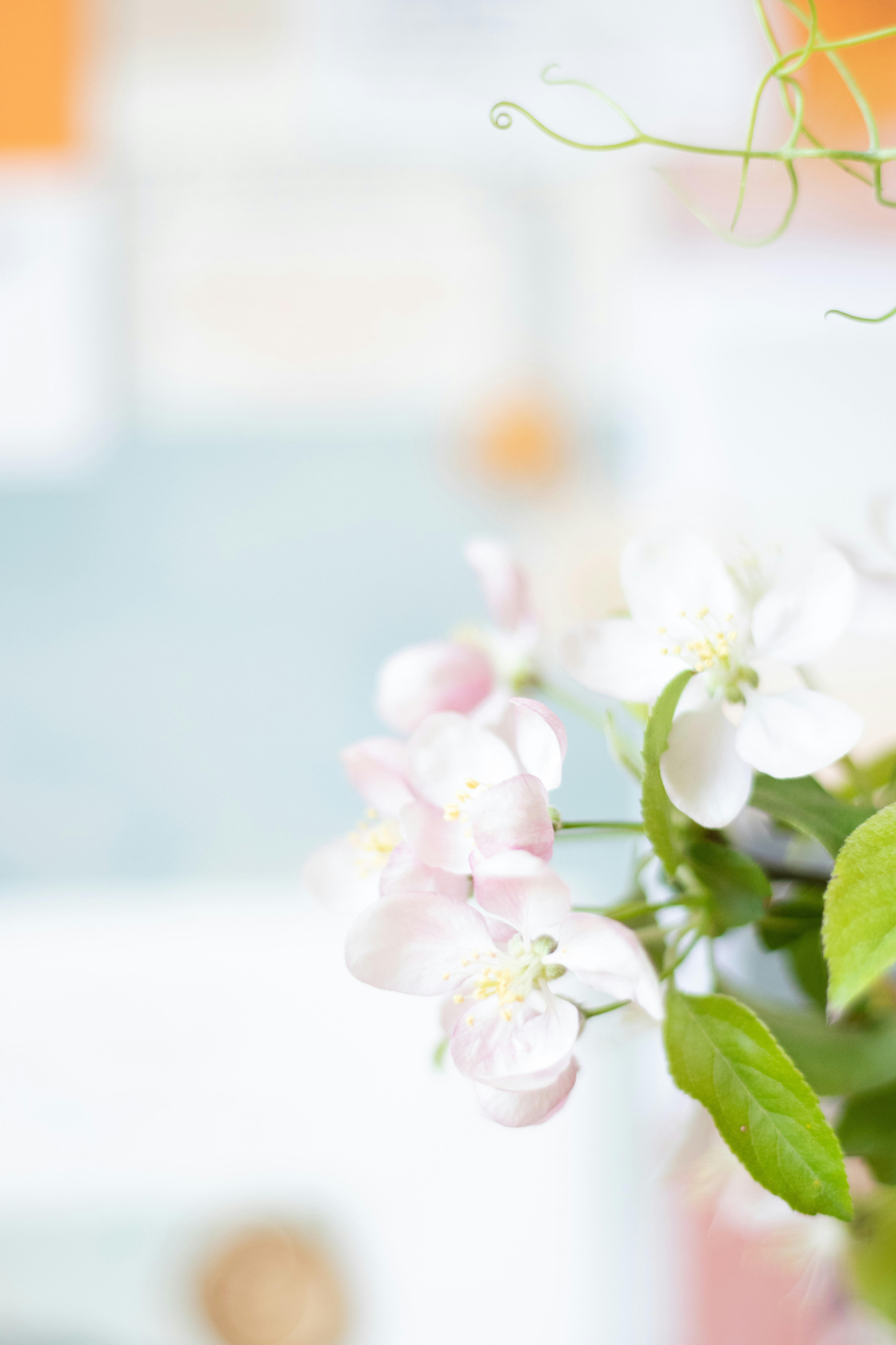 Photo by fionamurrayphoto