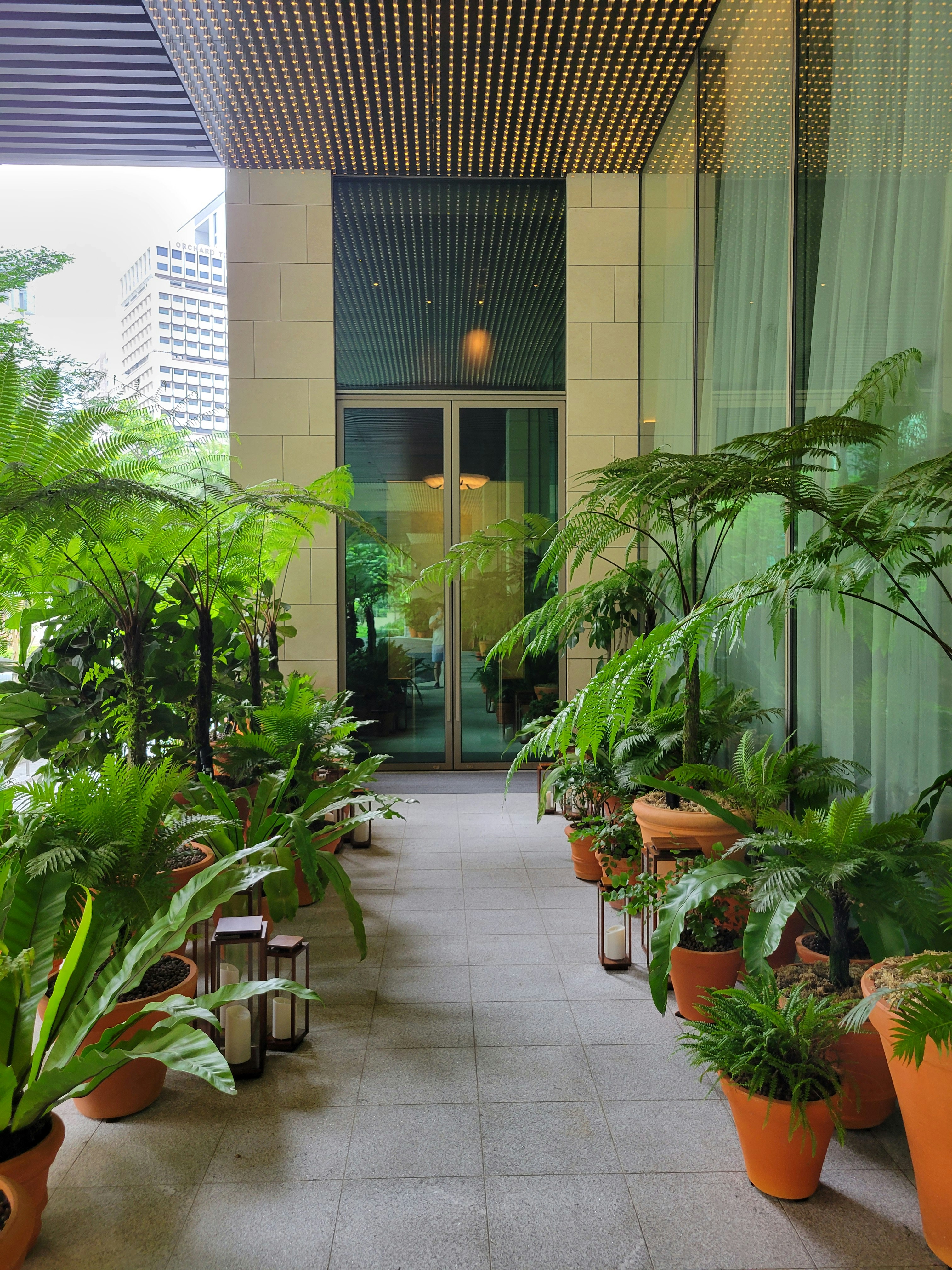 A long hallway with lots of potted plants