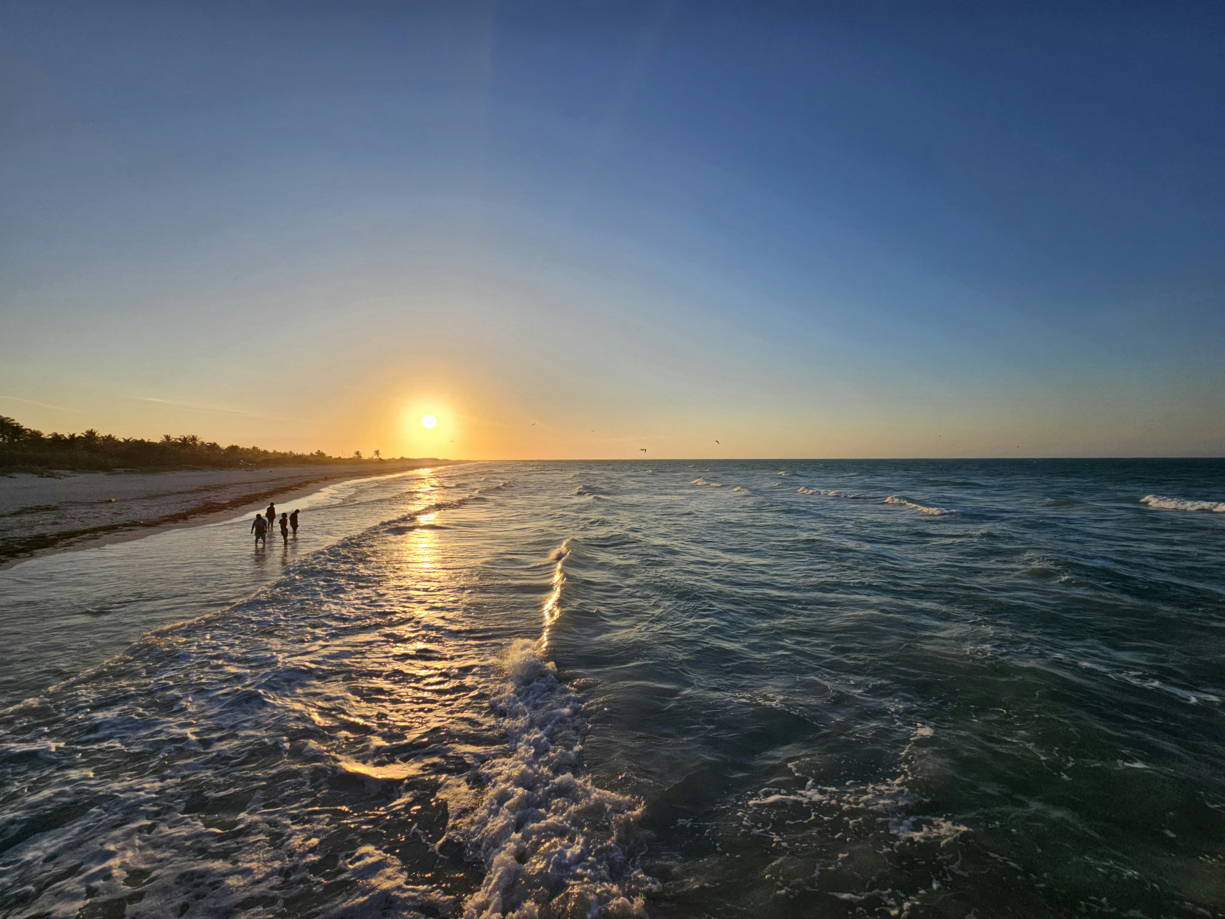 El Cuyo, Mexico - None