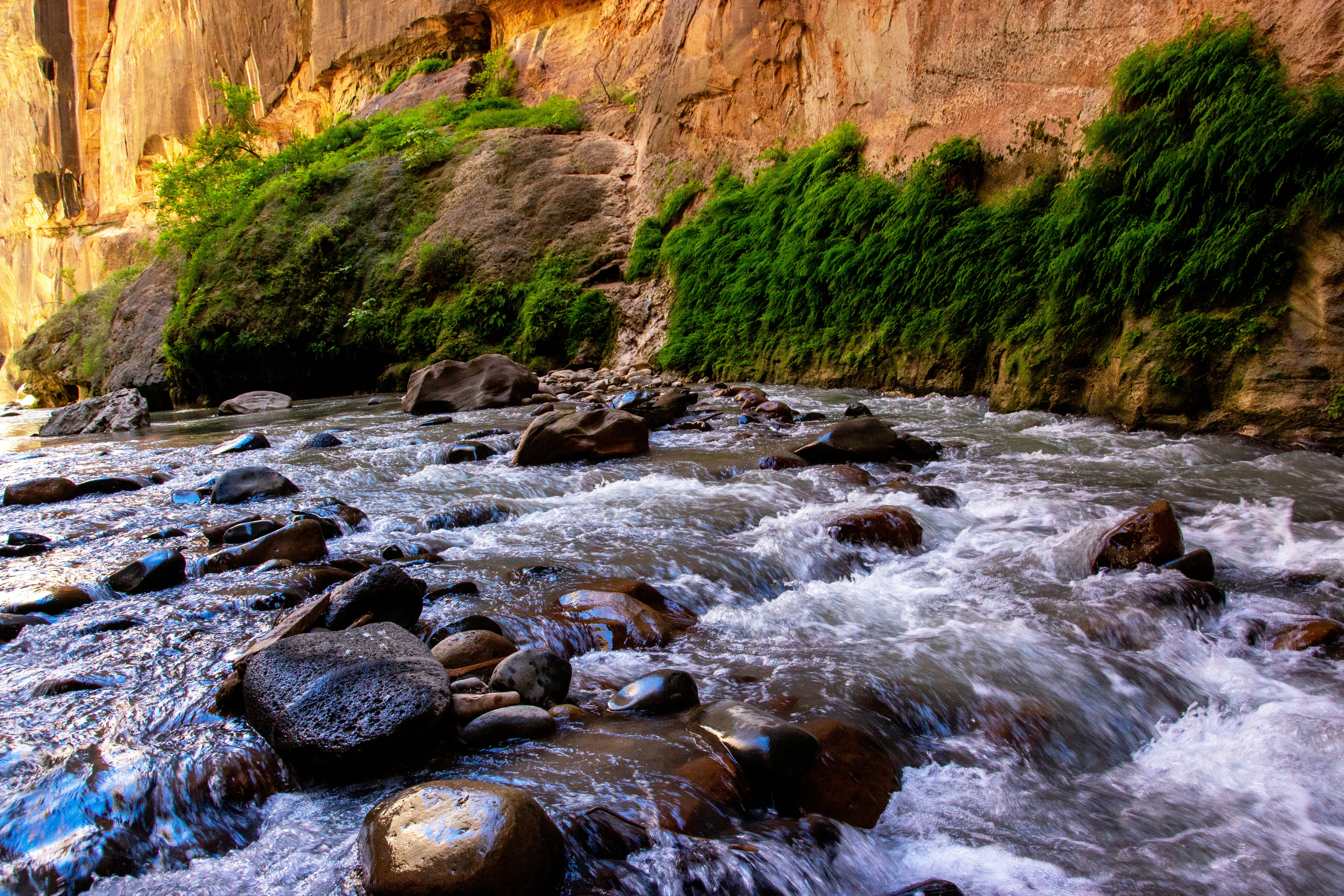 The Narrows (Bottom-Up)