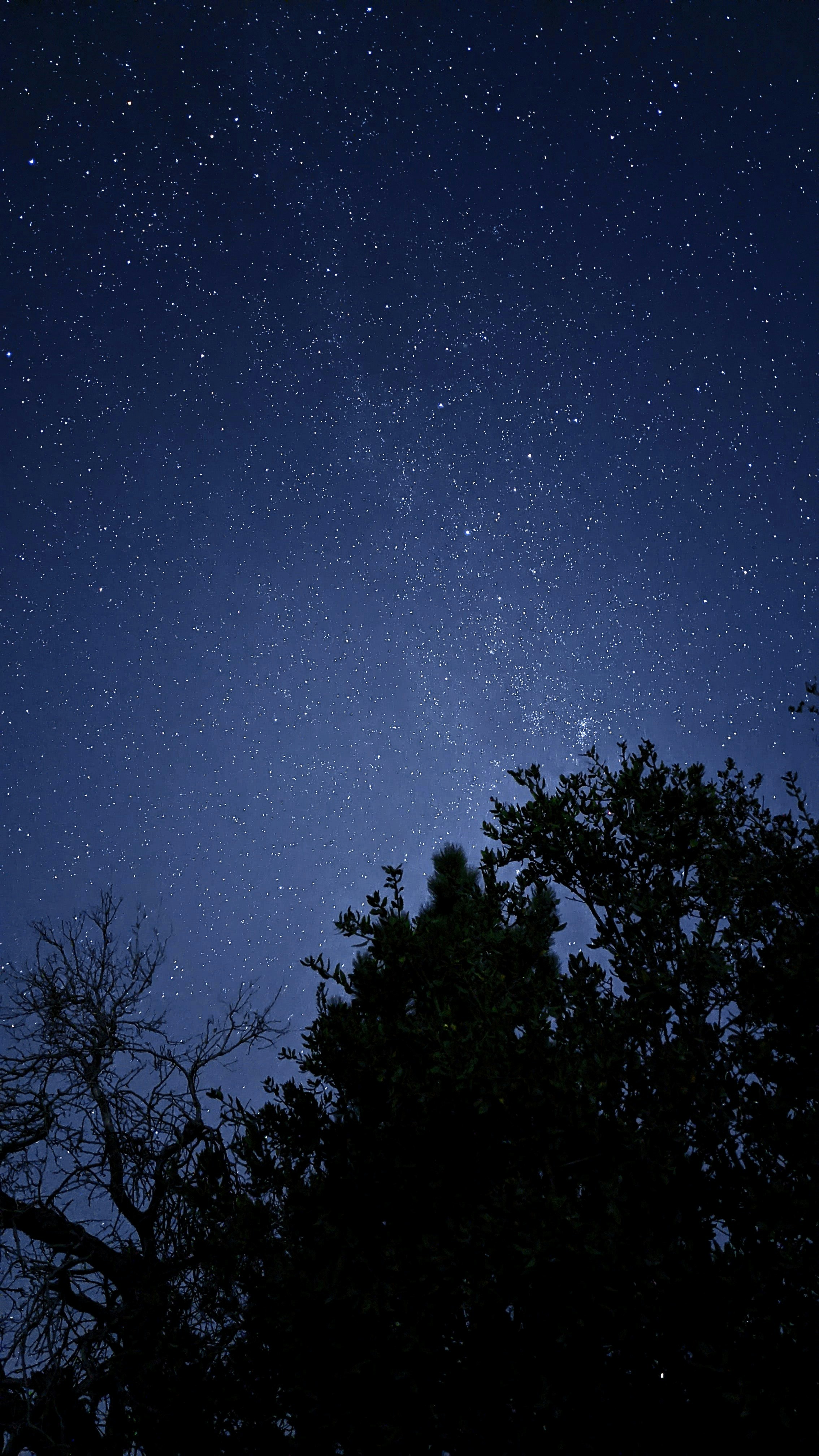 Photo by iramykhailova