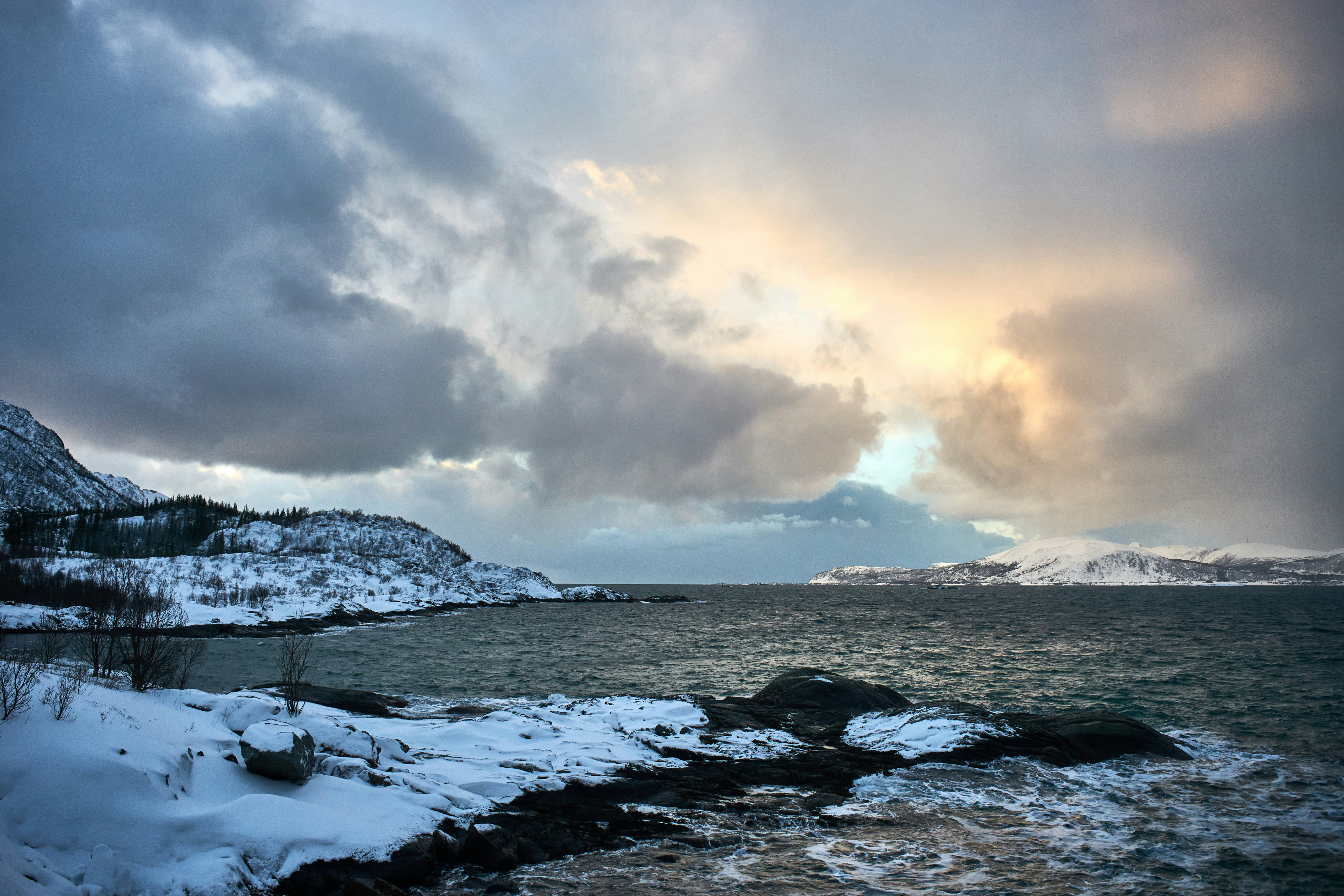 Photo by wolfgang_hasselmann