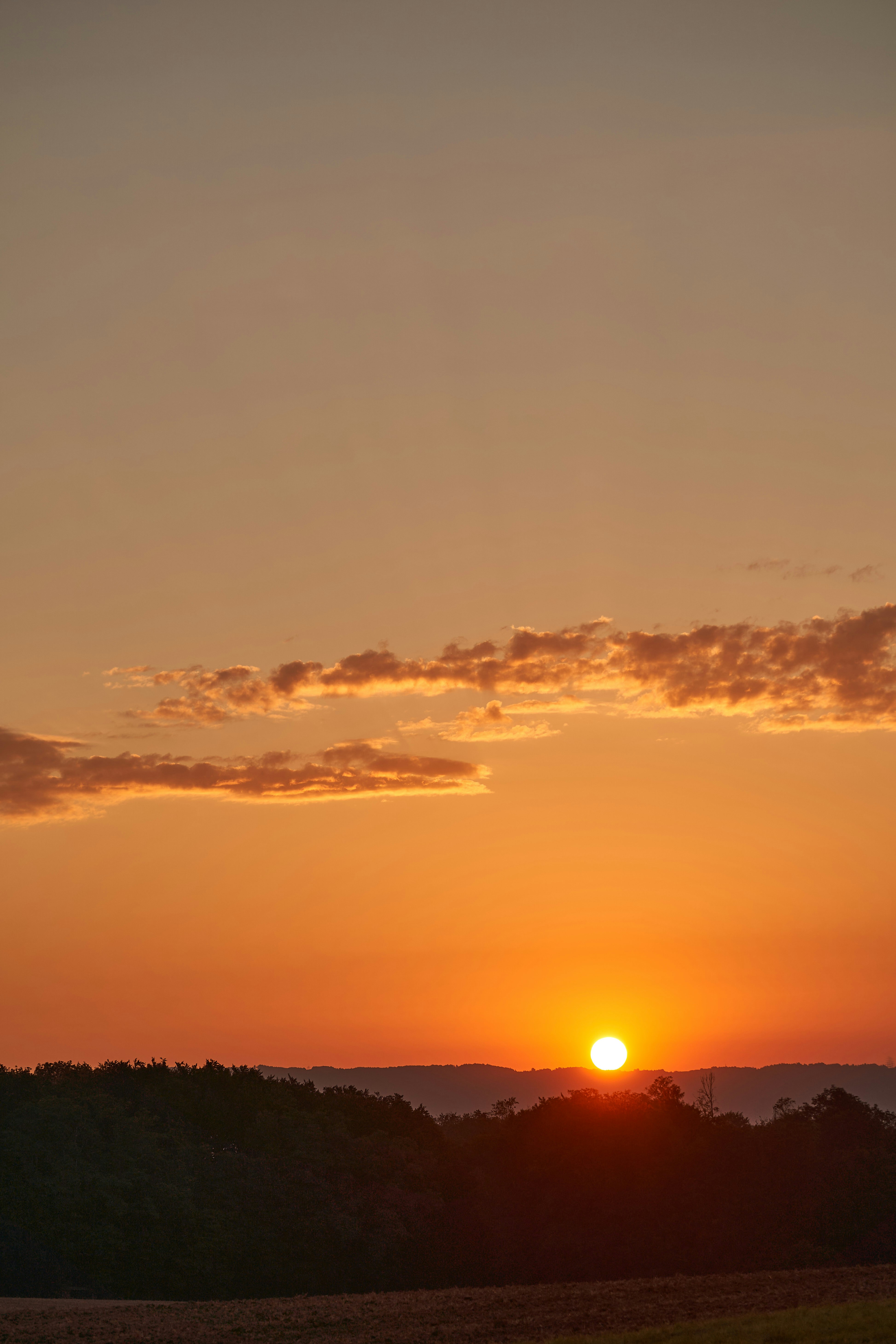 Photo by wolfgang_hasselmann