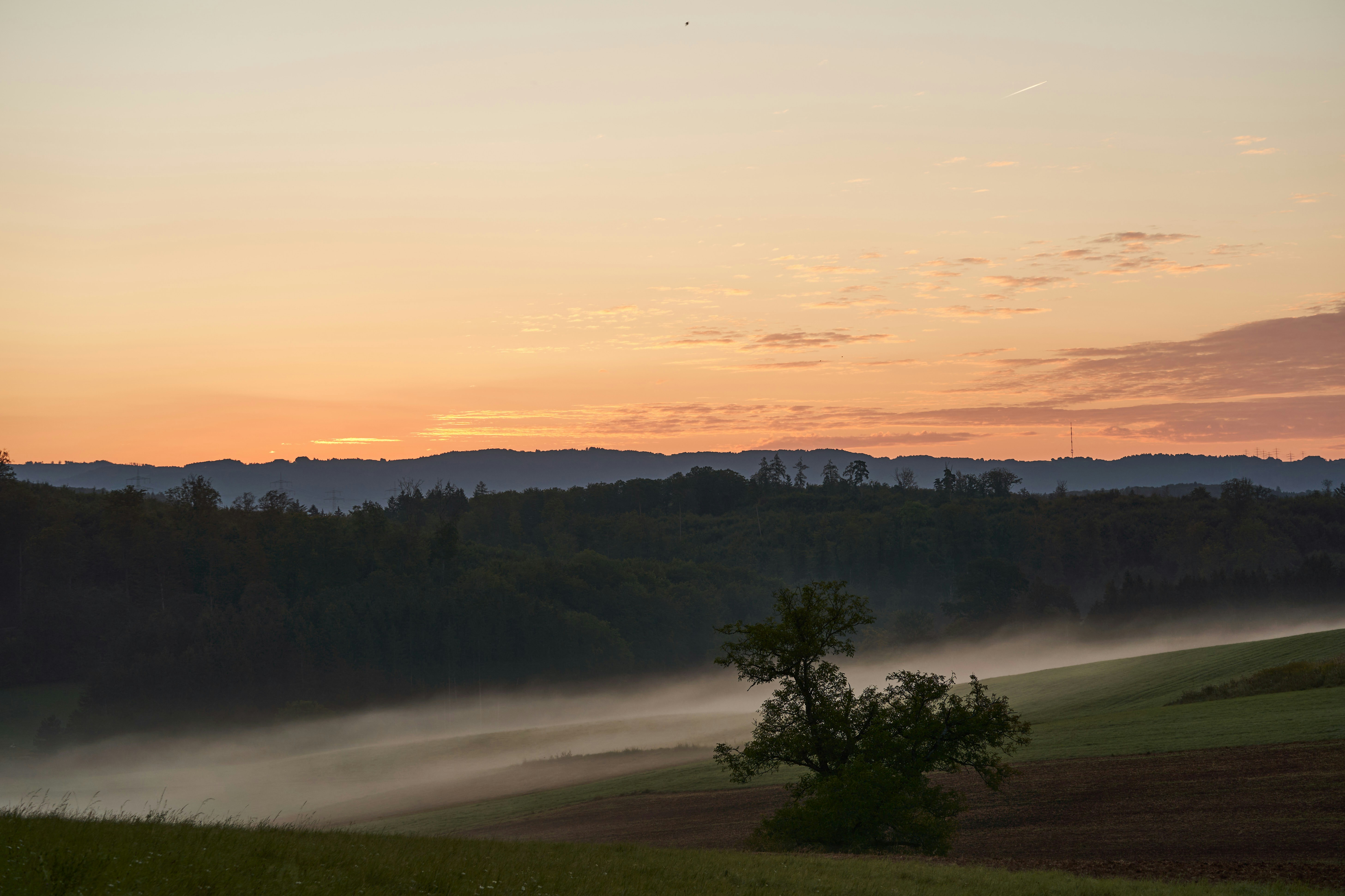 Photo by wolfgang_hasselmann