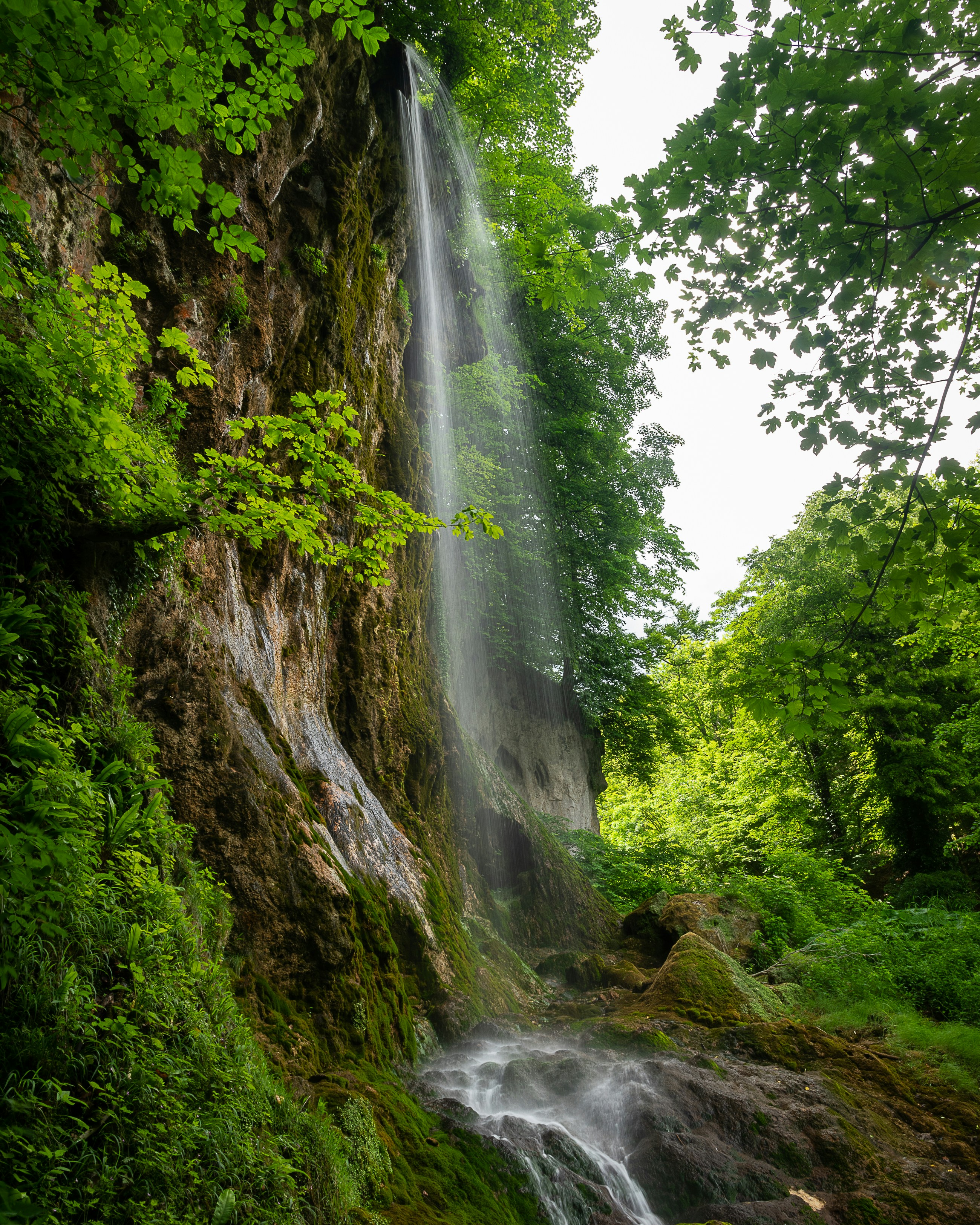 Photo by vjeblackbirdlion