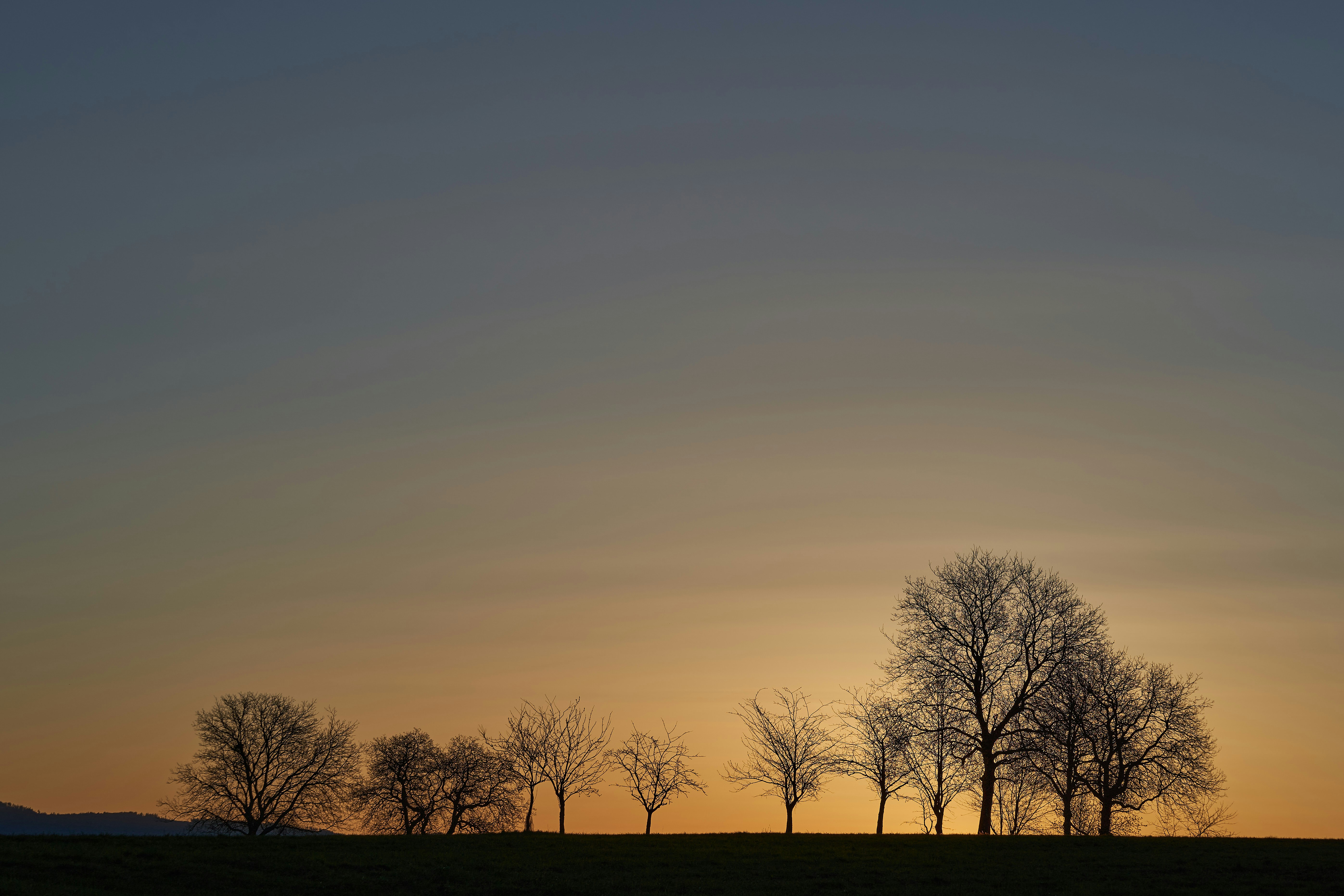 Photo by wolfgang_hasselmann