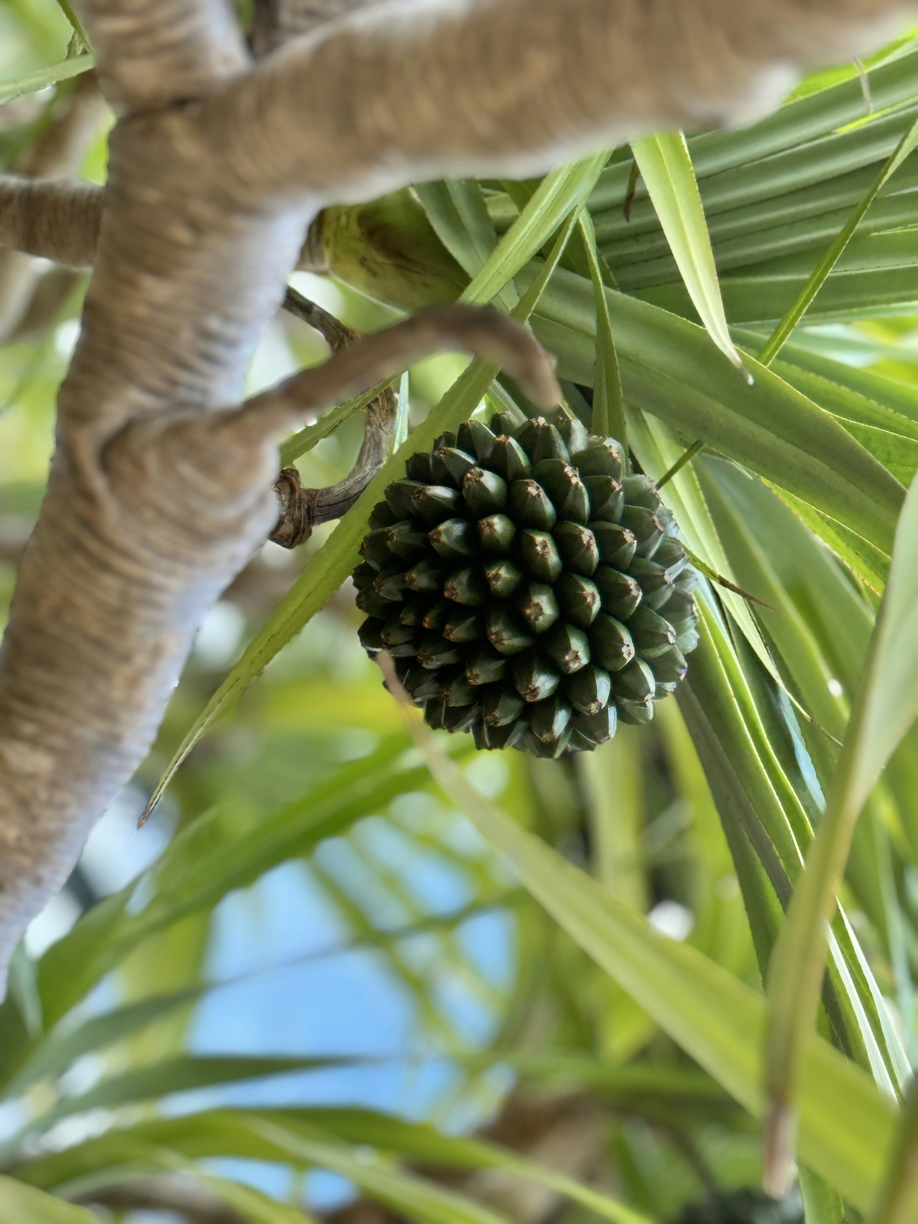 Photo by solitsocial