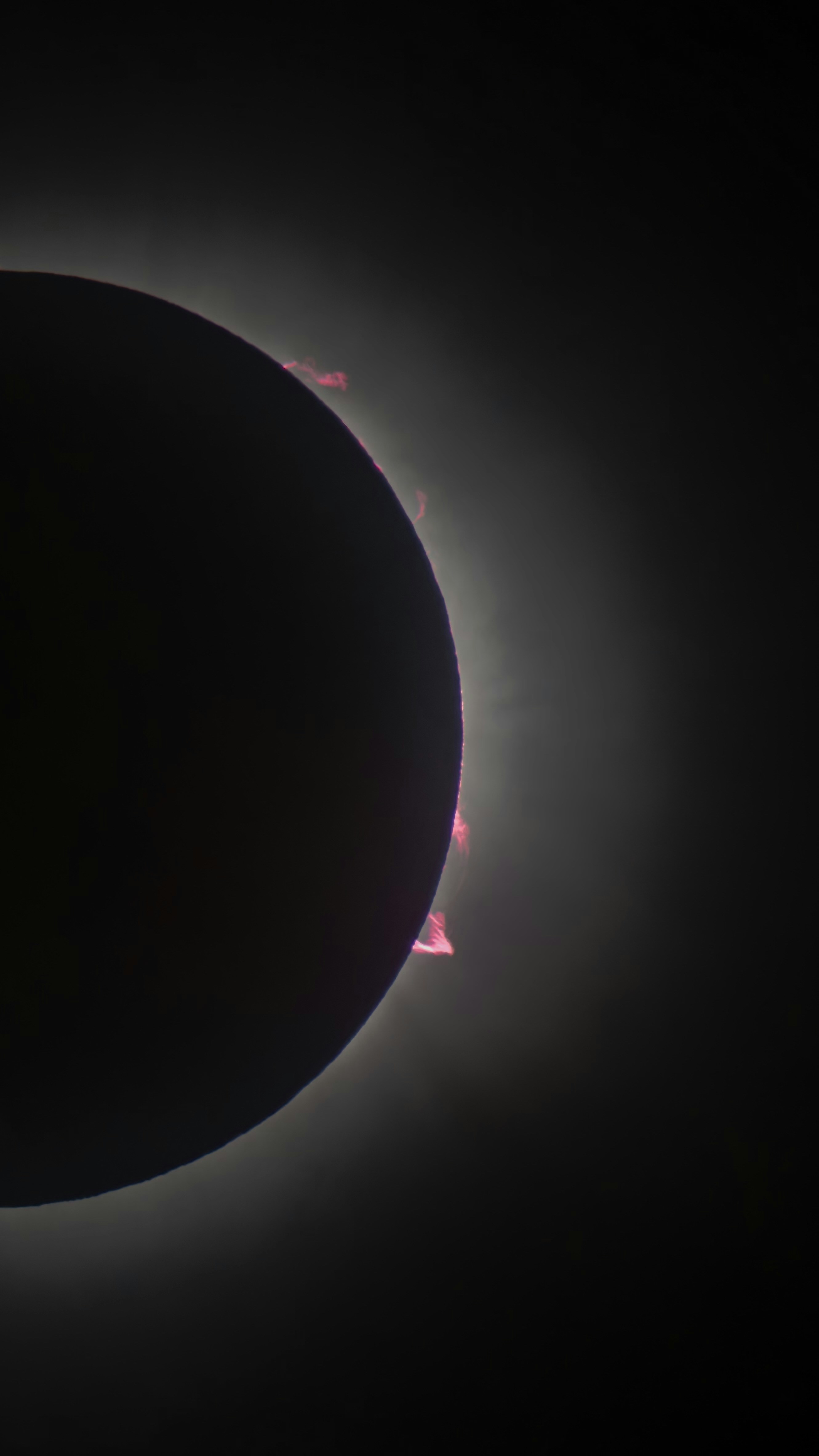 The sun's corona corona during a solar eclipse
