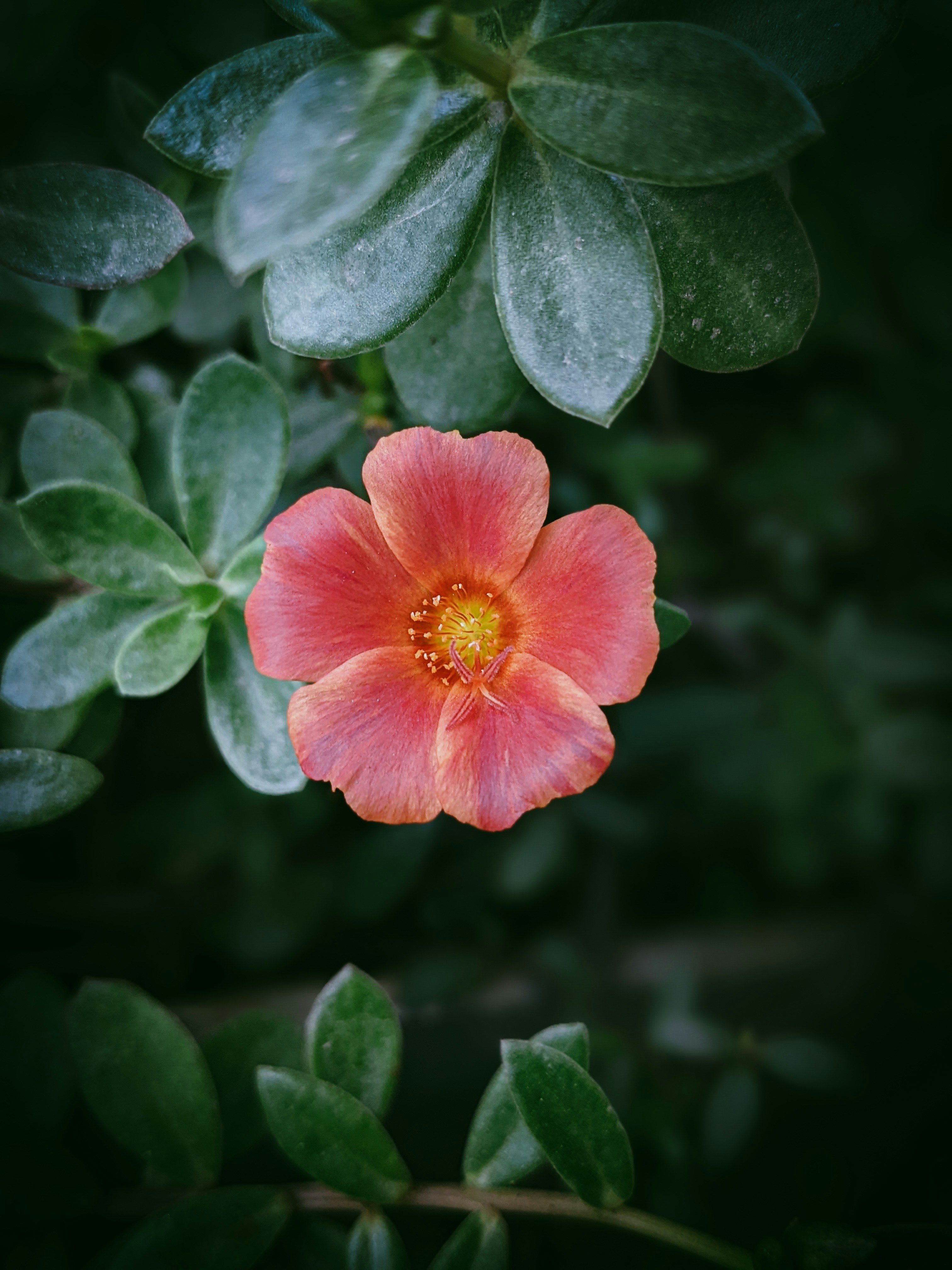 Photo by ikshit_chaudhari