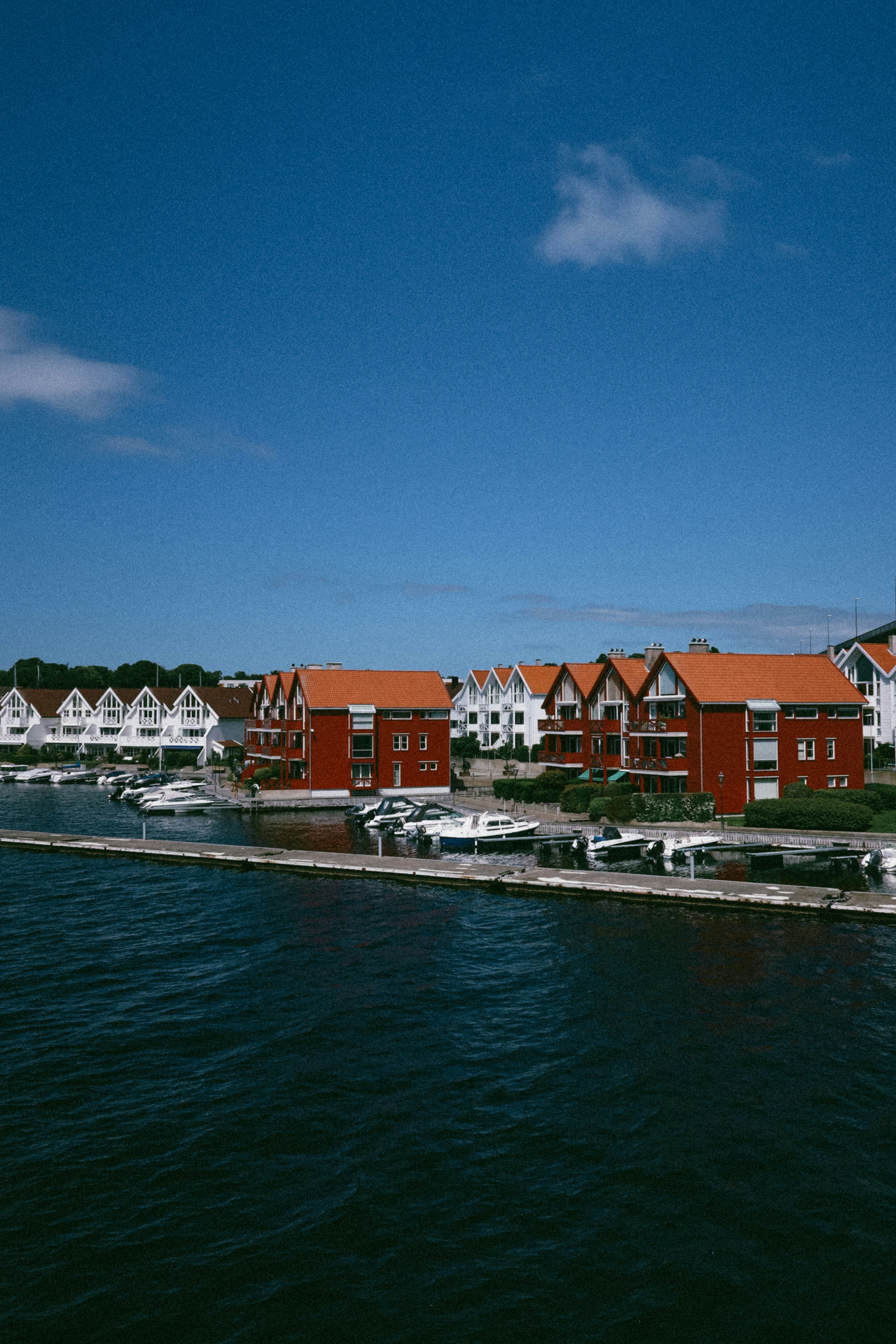A body of water with a bunch of boats in it