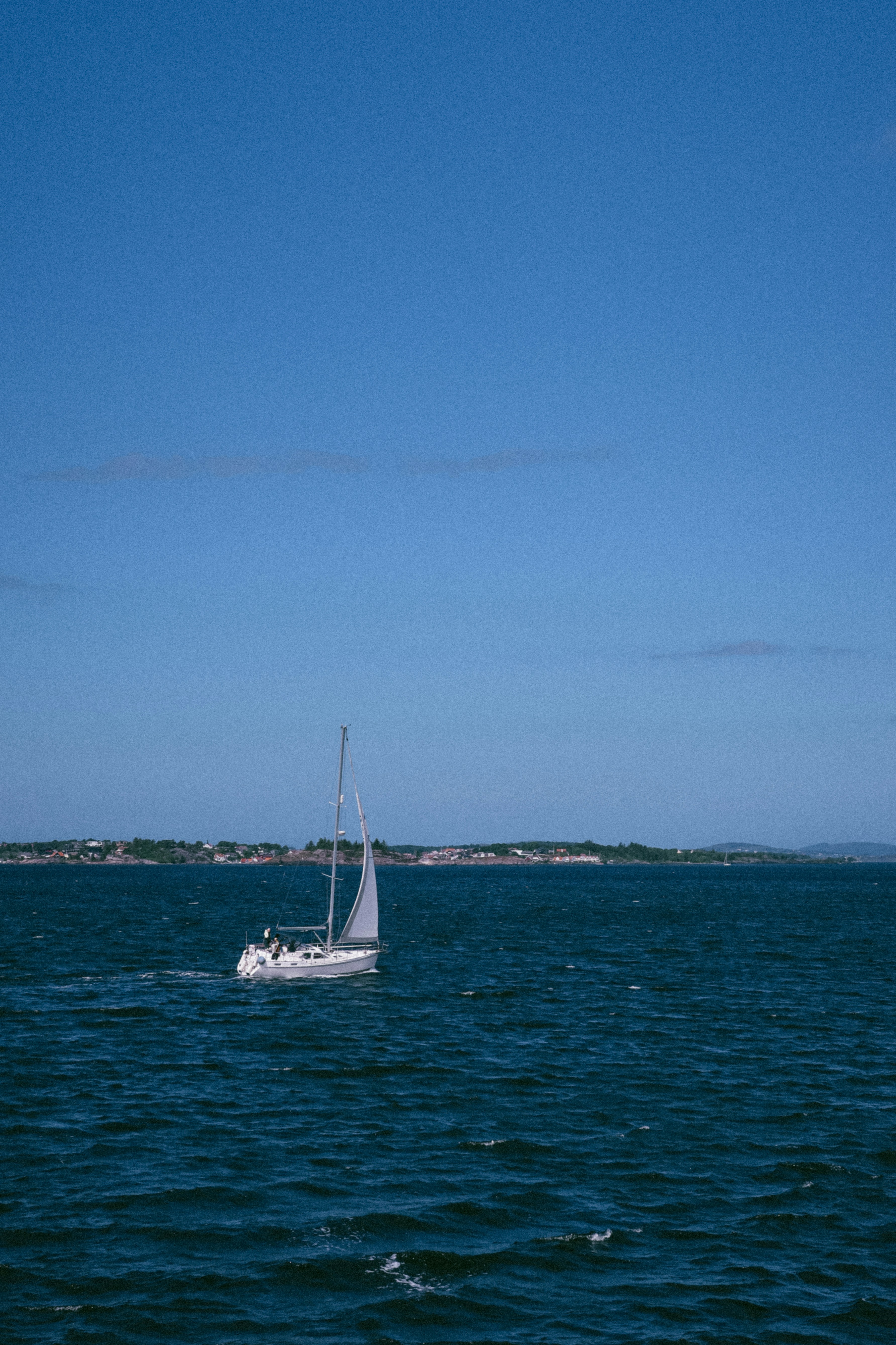 Photo by flowerandleaves