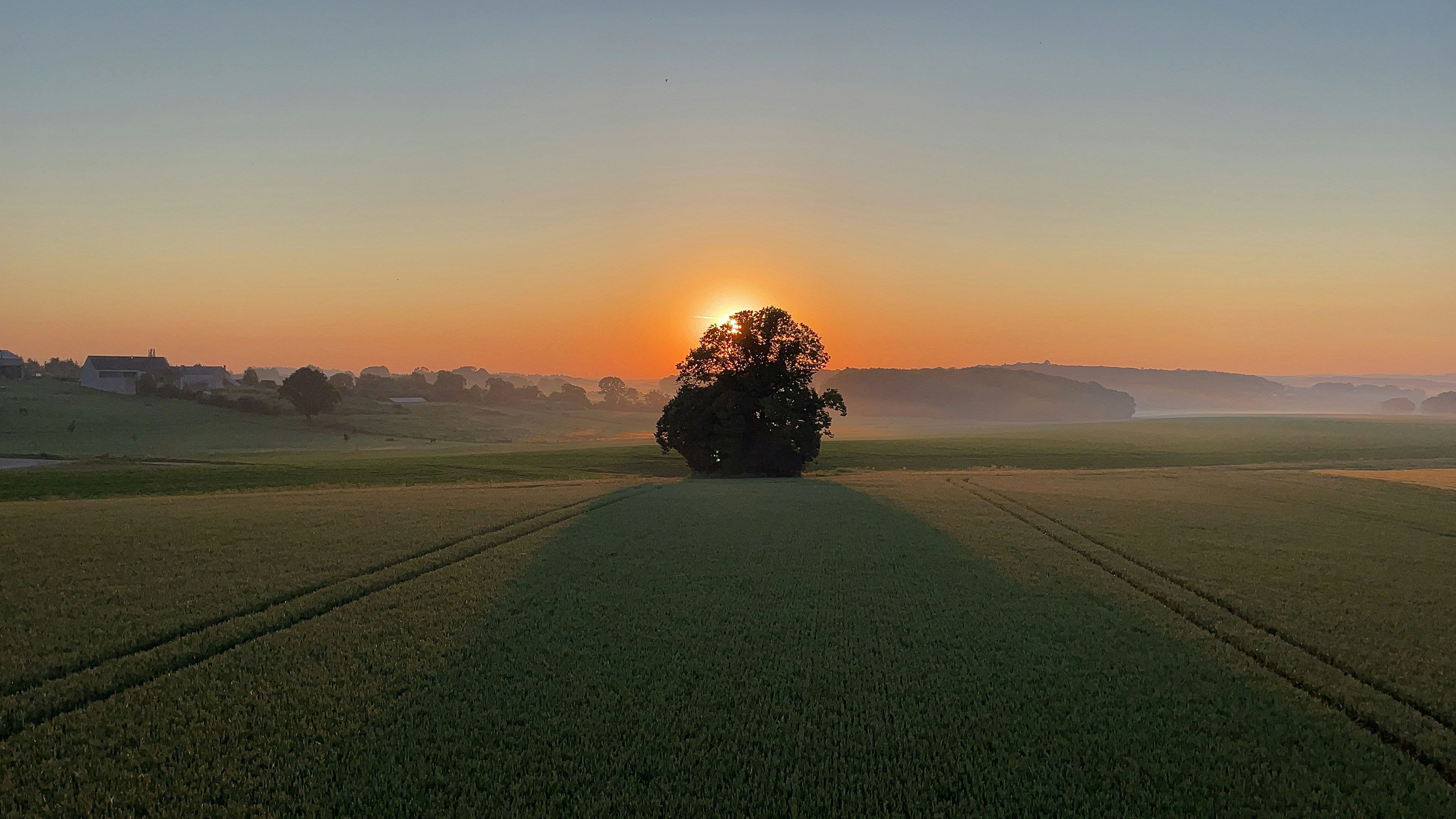 A tractor is driving through a field at sunset
