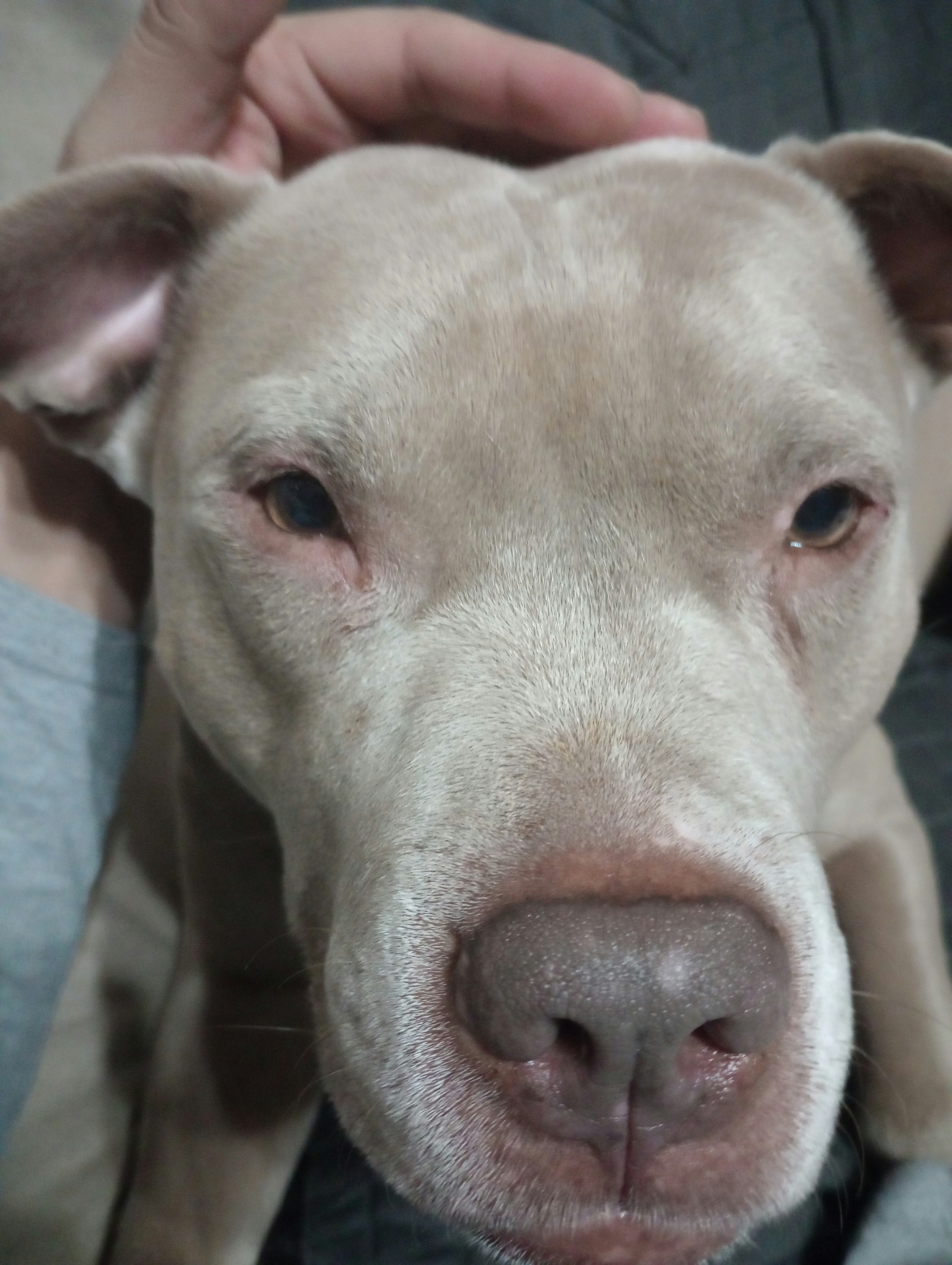 Photo by tank_and_hank