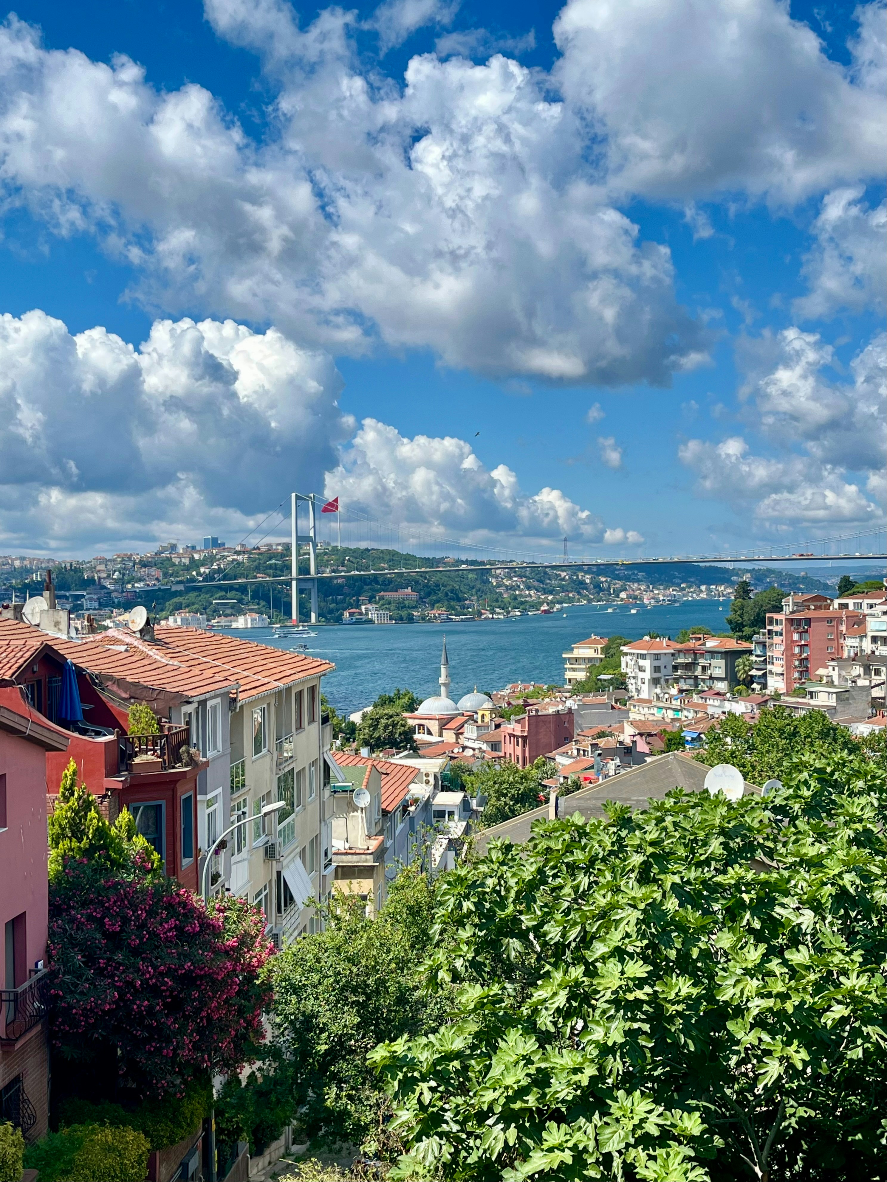 Photo by ezgideliklitas