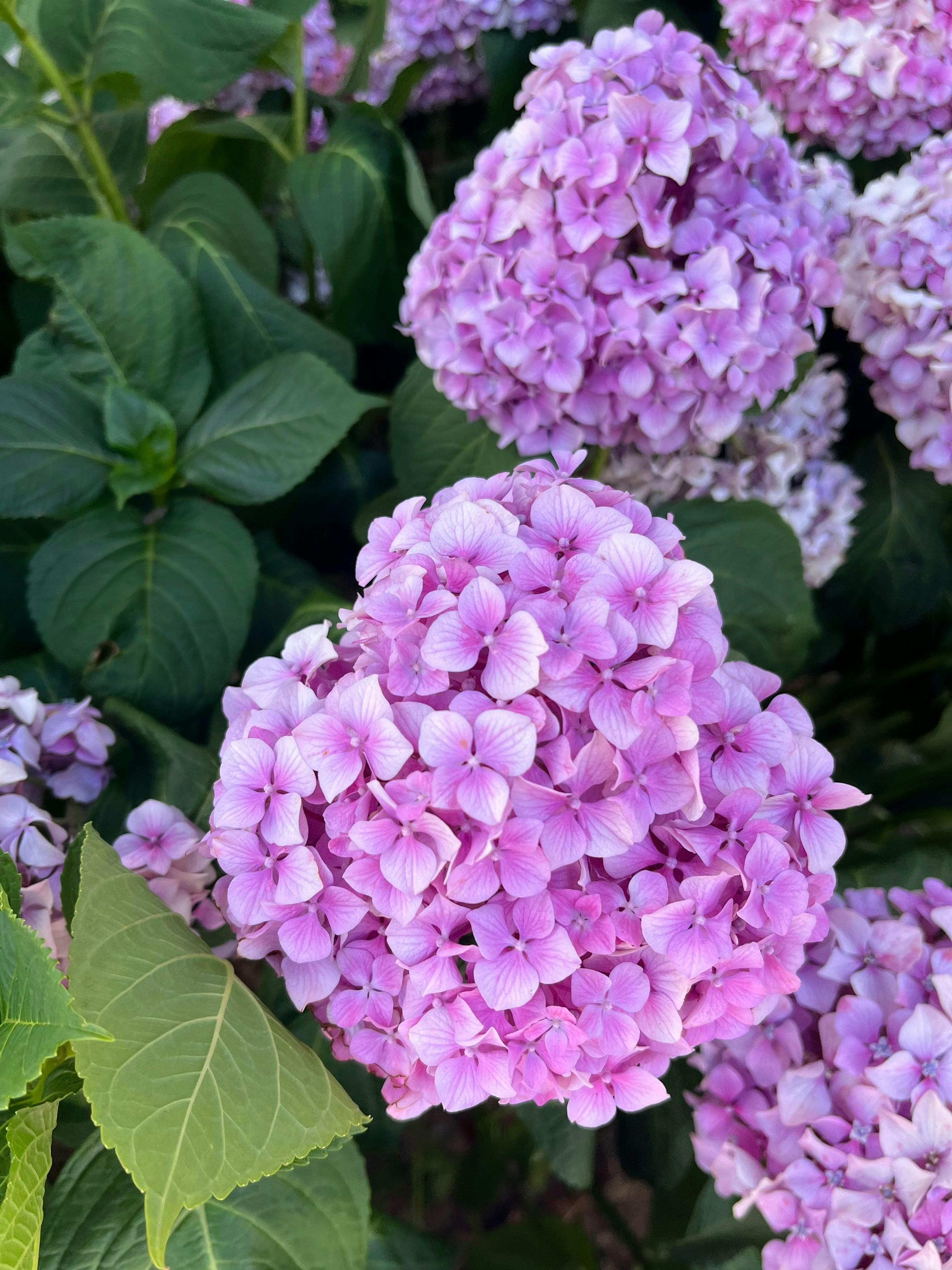 Photo by ezgideliklitas